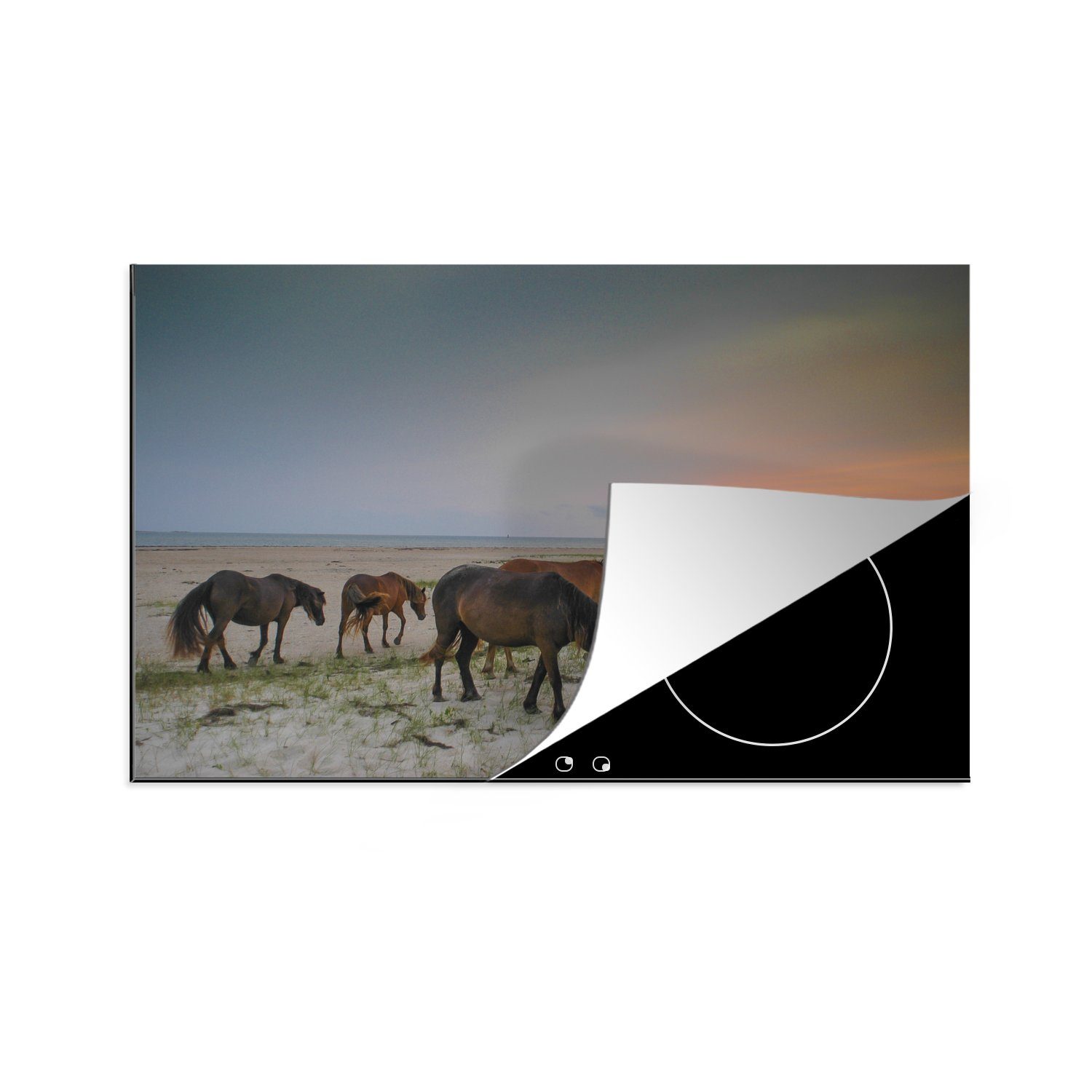 MuchoWow Herdblende-/Abdeckplatte Wilde Shackleford Mustang-Pferde, Vinyl, (1 tlg), 81x52 cm, Induktionskochfeld Schutz für die küche, Ceranfeldabdeckung