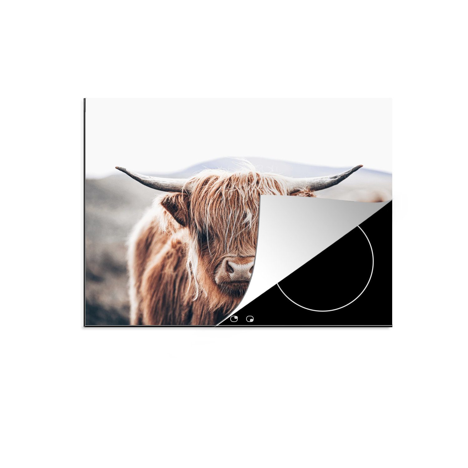 MuchoWow Herd-Abdeckplatte Schottischer Highlander - Berg - Hoorn, Vinyl, (1 tlg), Ceranfeldabdeckung Küche, Herdabdeckplatte Einteilig, 60x52 cm