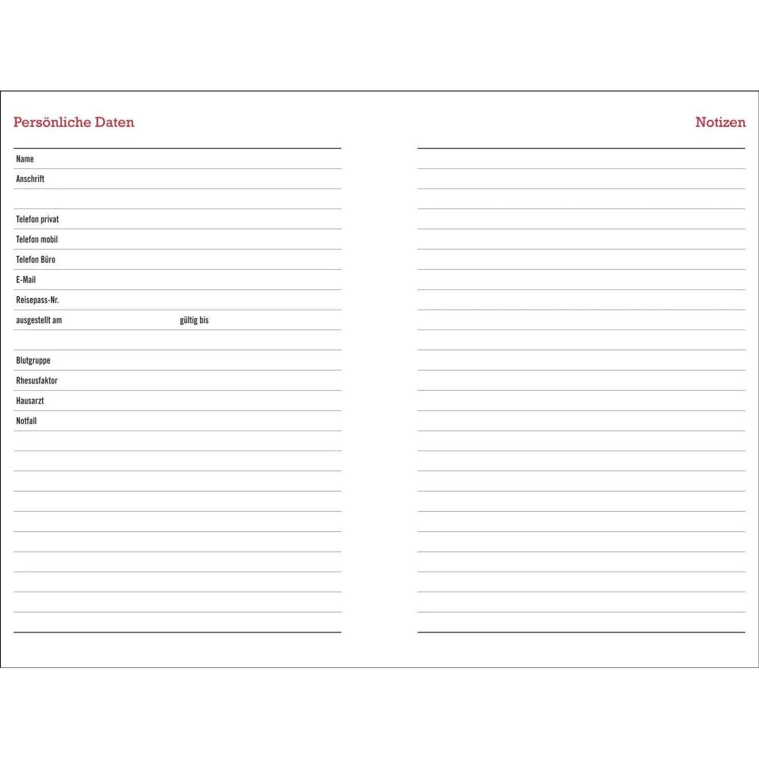 HEYE Familienkalender Peanuts Familienplaner-Buch A5 2027 – Bild 5 von 5