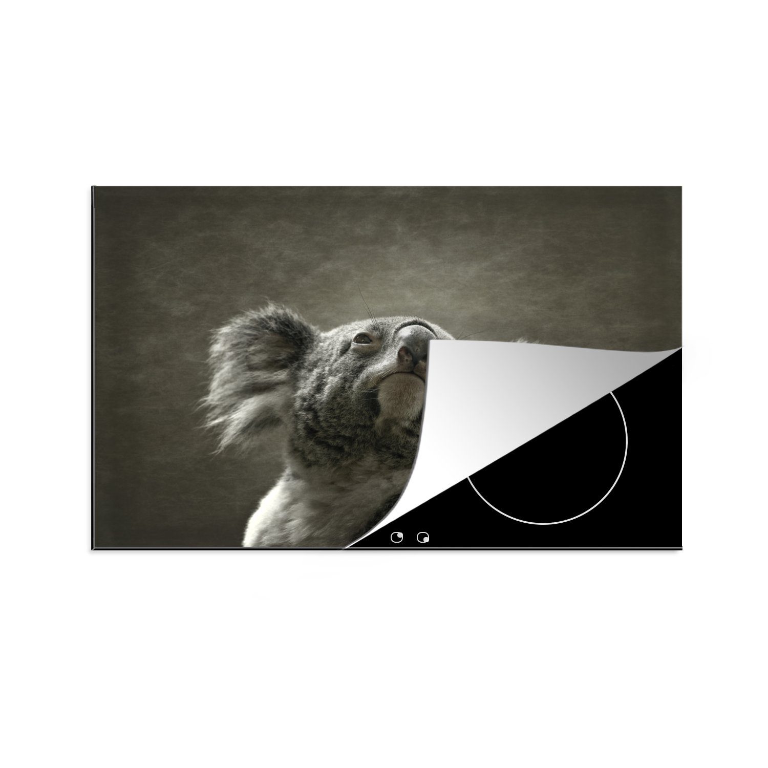 Ceranfeldabdeckung 81x52 (1 die MuchoWow Koala Induktionskochfeld cm, küche, tlg), Herdblende-/Abdeckplatte Schutz - - für Tiere Kontur, Vinyl,