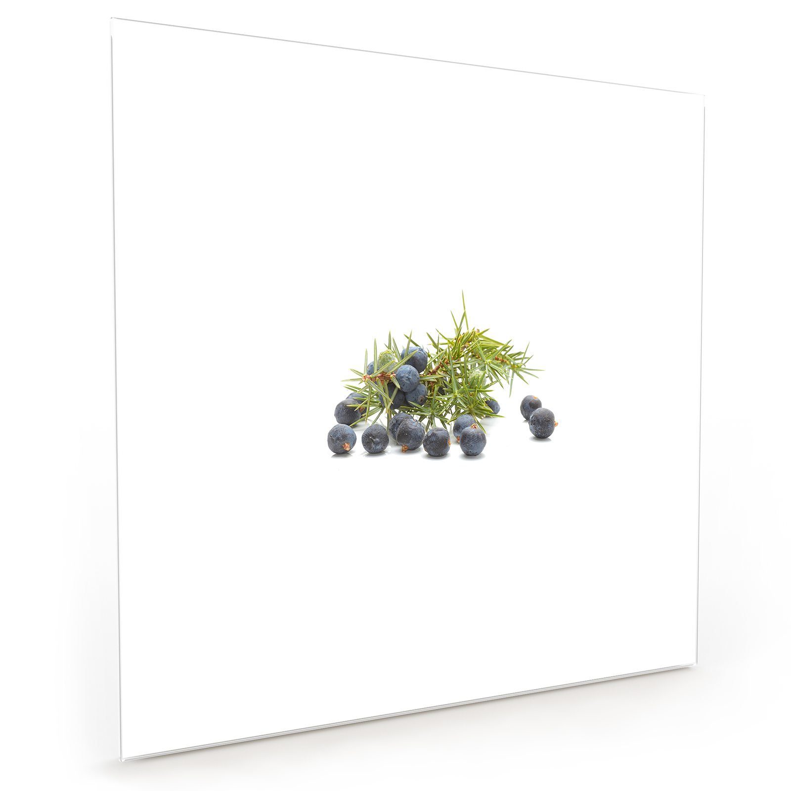 Primedeco Küchenrückwand Küchenrückwand Spritzschutz Glas mit Motiv Beeren und Zweige