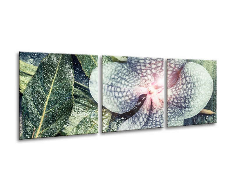 artissimo Glasbild mehrteiliges Glasbild 150x50cm Bild aus Glas Blatt Orchidee grün