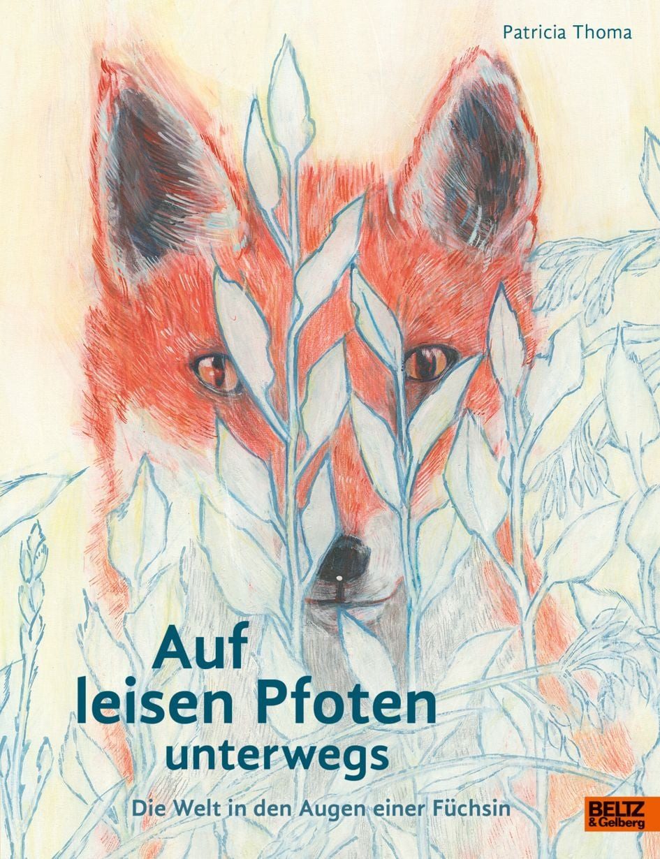 Kinderbuch Auf leisen Pfoten unterwegs Die Welt in den Augen einer Füchsin Patricia Thoma