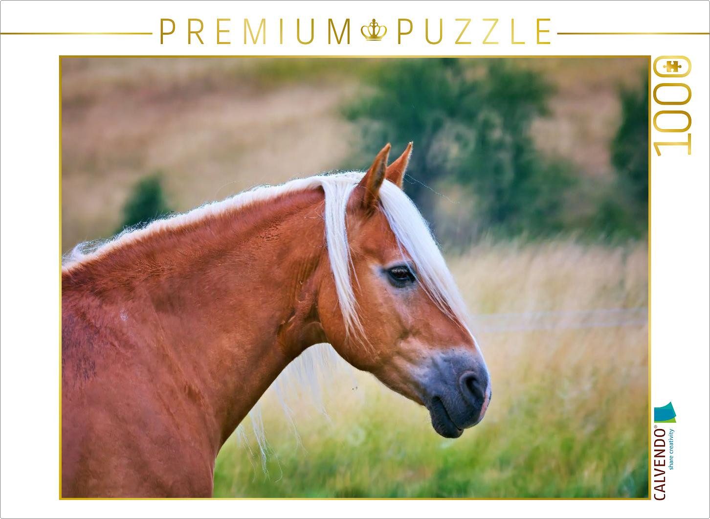 CALVENDO Puzzle CALVENDO Puzzle Ein Motiv aus dem Kalender Familienfreundliche Pferde, 1000 Puzzleteile