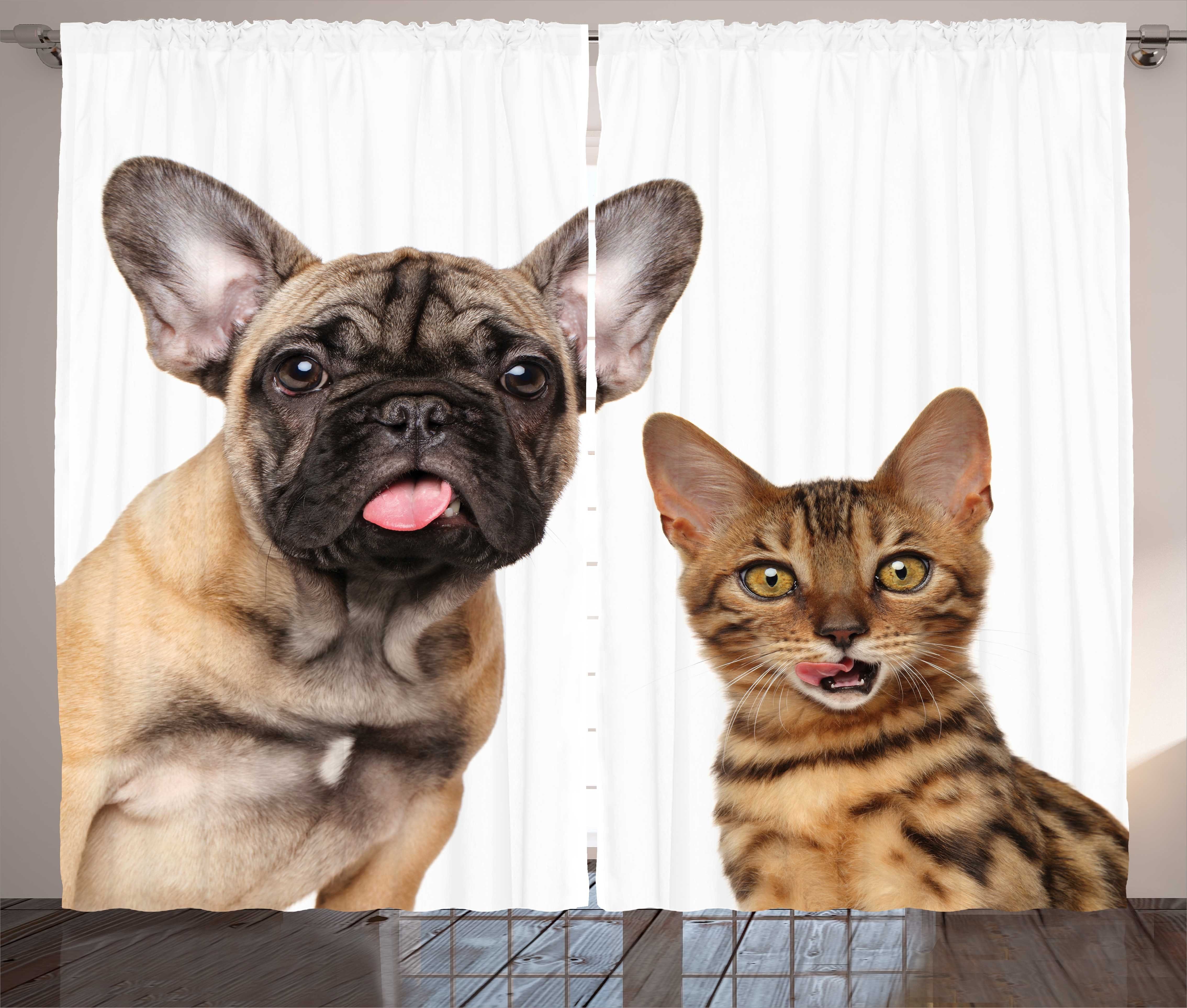 Schlafzimmer und und Schockiert Vorhang Starren Schlaufen Katze Kräuselband Bulldogge mit Hund Abakuhaus, Gardine Haken,