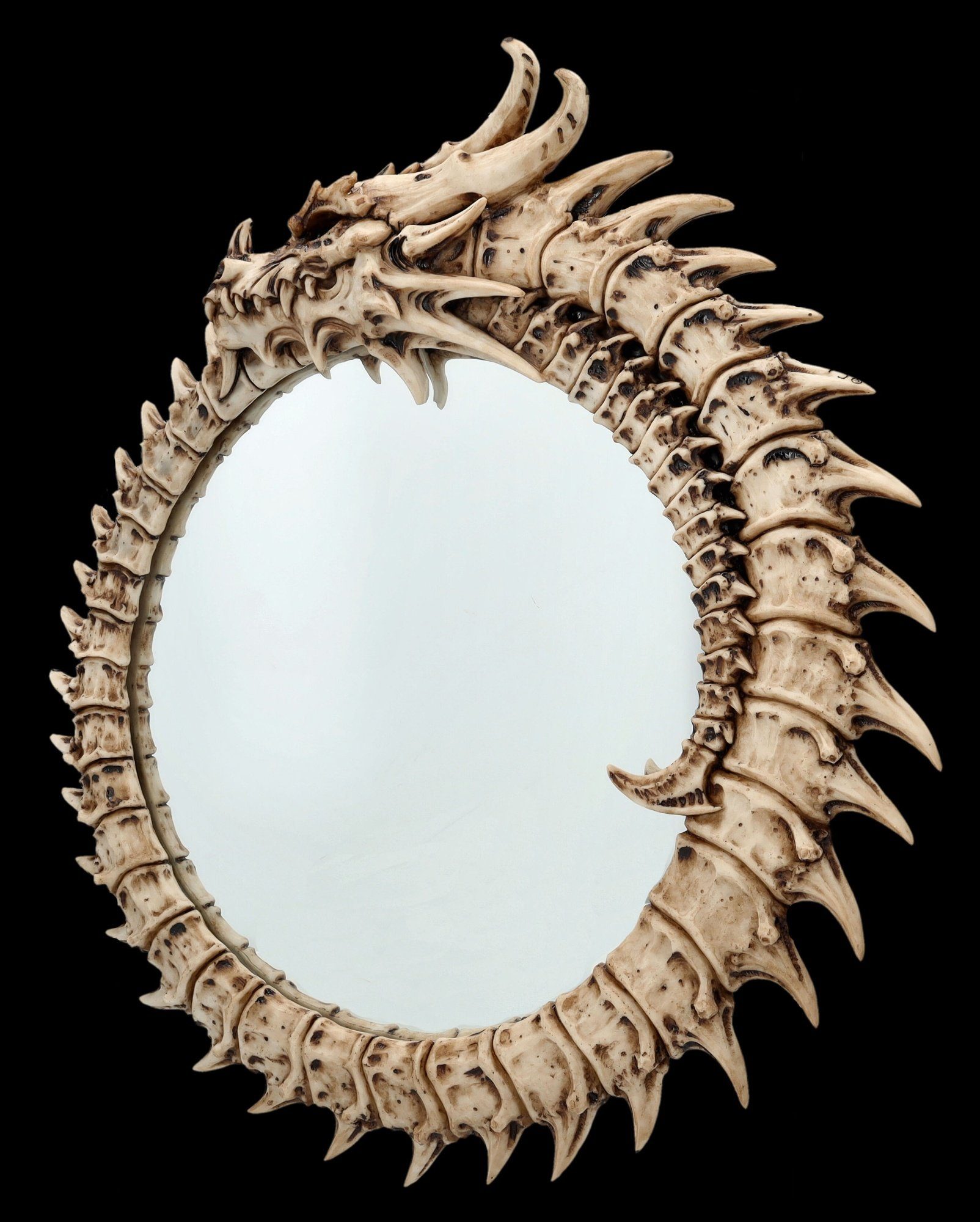 Figuren Shop GmbH Wandspiegel Wandspiegel - Drachen-Skelett Ouroboros - Fantasy Spiegel Drache Deko