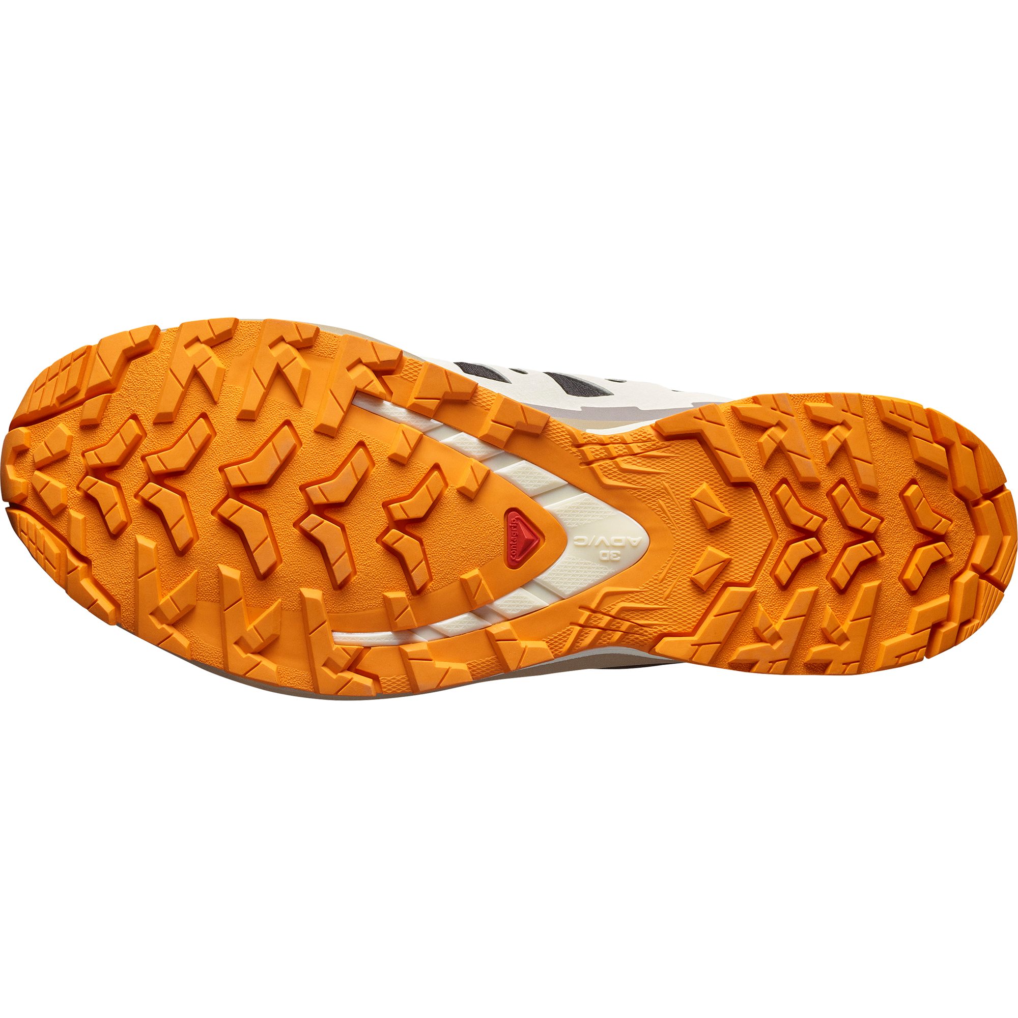 Salomon XA PRO 3D V9 GORE-TEX günstig online kaufen