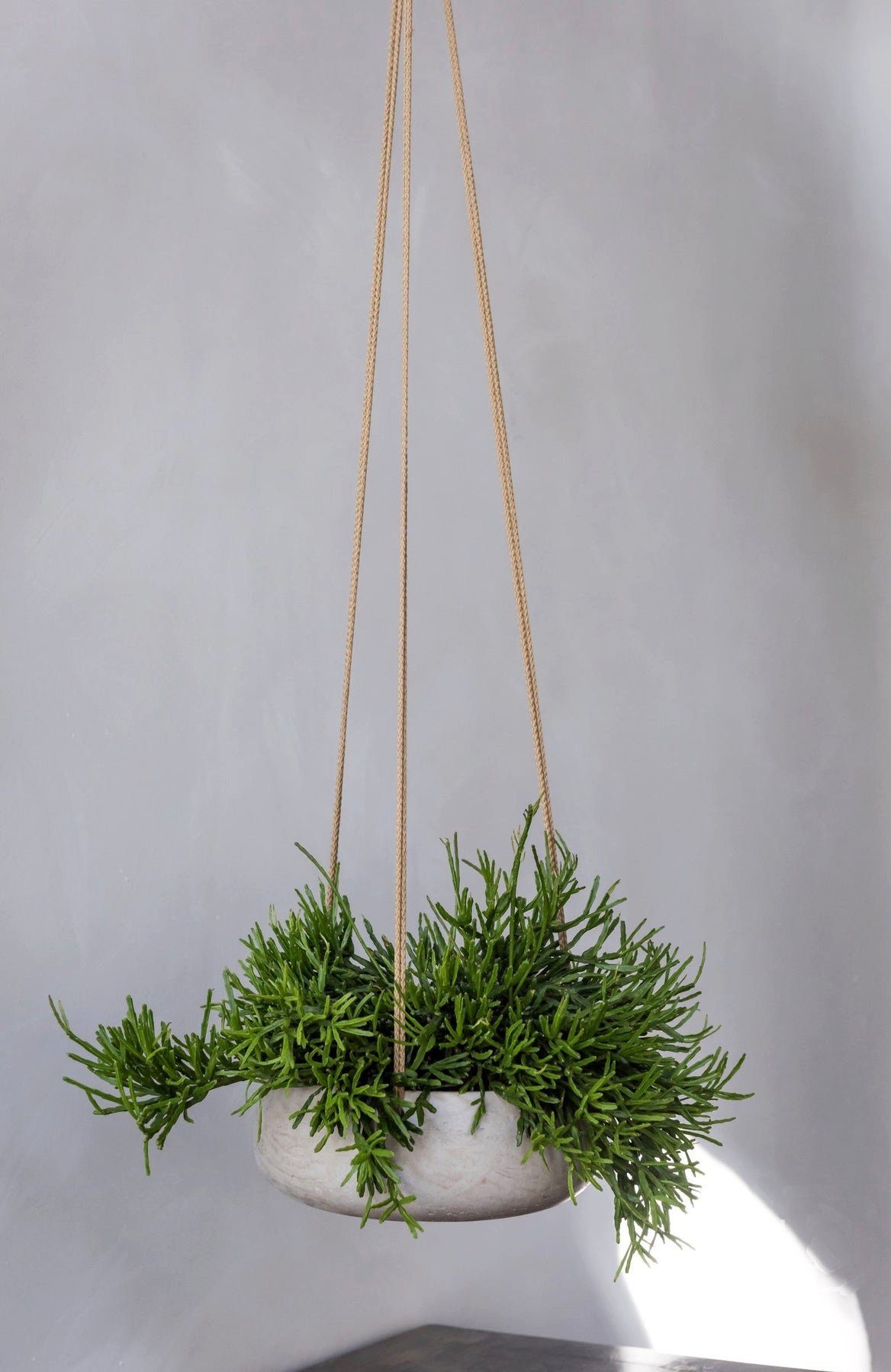 finestgreen Blumenampel Handgefertigte Blumenampel Hanging Eileen günstig online kaufen