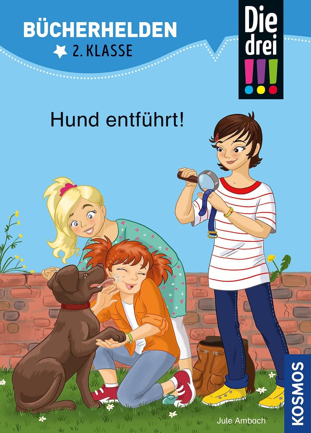 Kinderbuch Die drei !!!, Bücherhelden 2. Klasse, Hund entführt! Erstleser Kinder Jule Ambach
