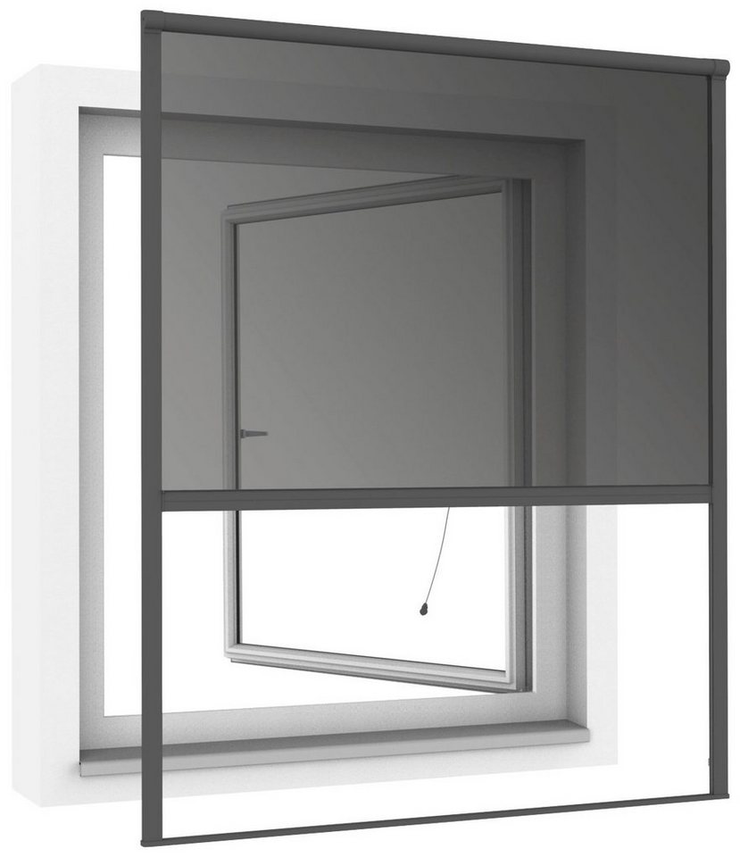 Thumbnail - Insektenschutzrollo, Windhager, transparent, Klemmfix, BxH: 100x160 cm