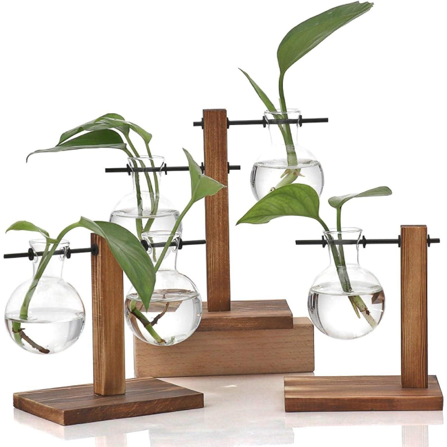 LuxusKollektion Tischvase 3er Set Hydroponik Glasvase Birne Vintage mit Holzständer