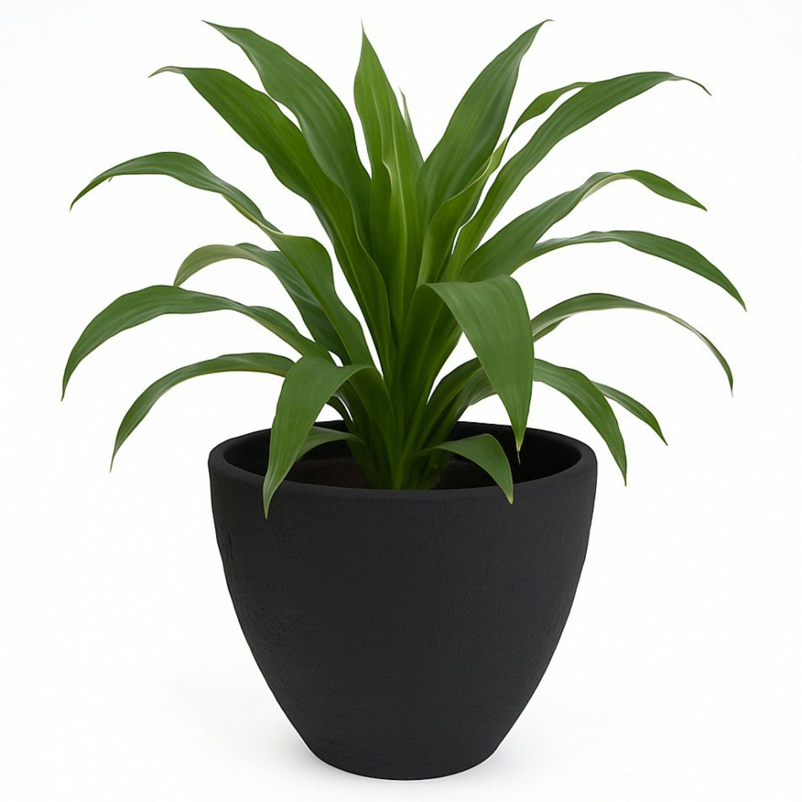 Koopman Blumentopf Übertopf Kunststoff 39x31 cm Steinoptik 10 Liter (Stück, 1 St., Packung), 39x31 cm, Steinoptik, Kunststoff, Anthrazit, Garten