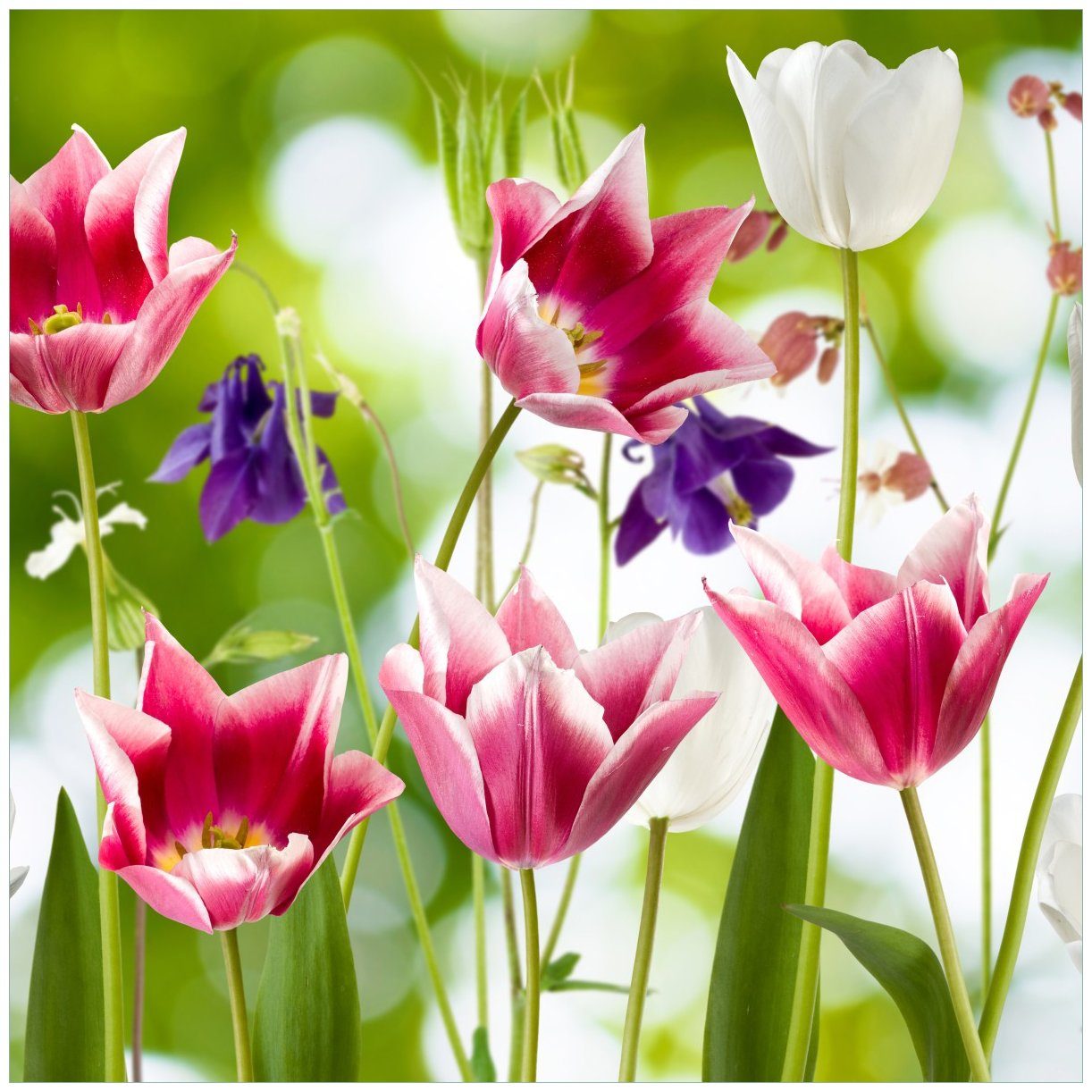 Wallario Tischplatte Blühende Blumen im Frühling in pink und weiß (1 St), für Ikea Lack Tisch geeignet | Tischplatten