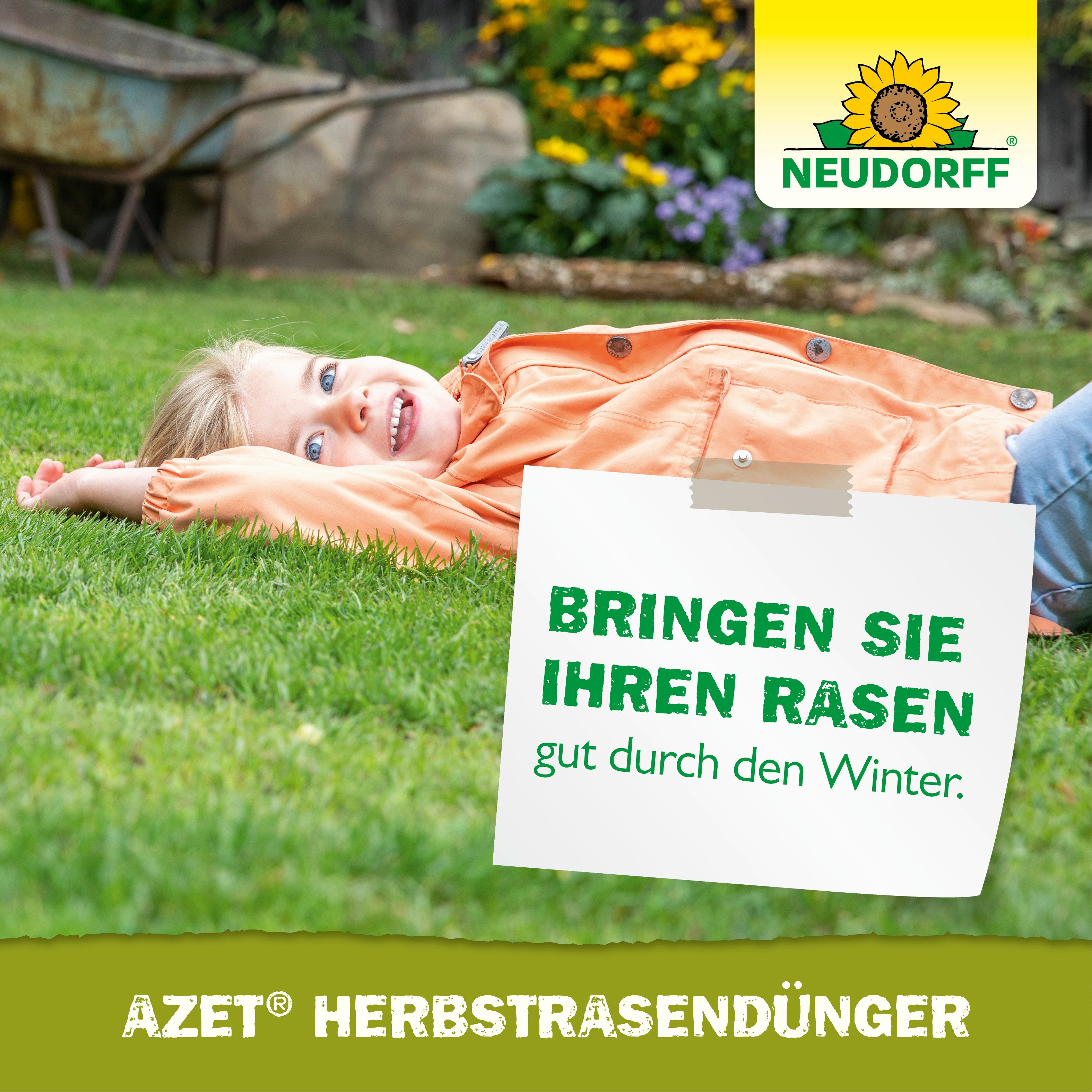 Neudorff Rasendünger Azet HerbstRasenDünger 2,5 kg, sorgt für einen dichten, kräftigen Rasen im Frühjahr, Mikroorganismen beleben den Rasen und beugen Rasenfilz – Bild 2 von 3