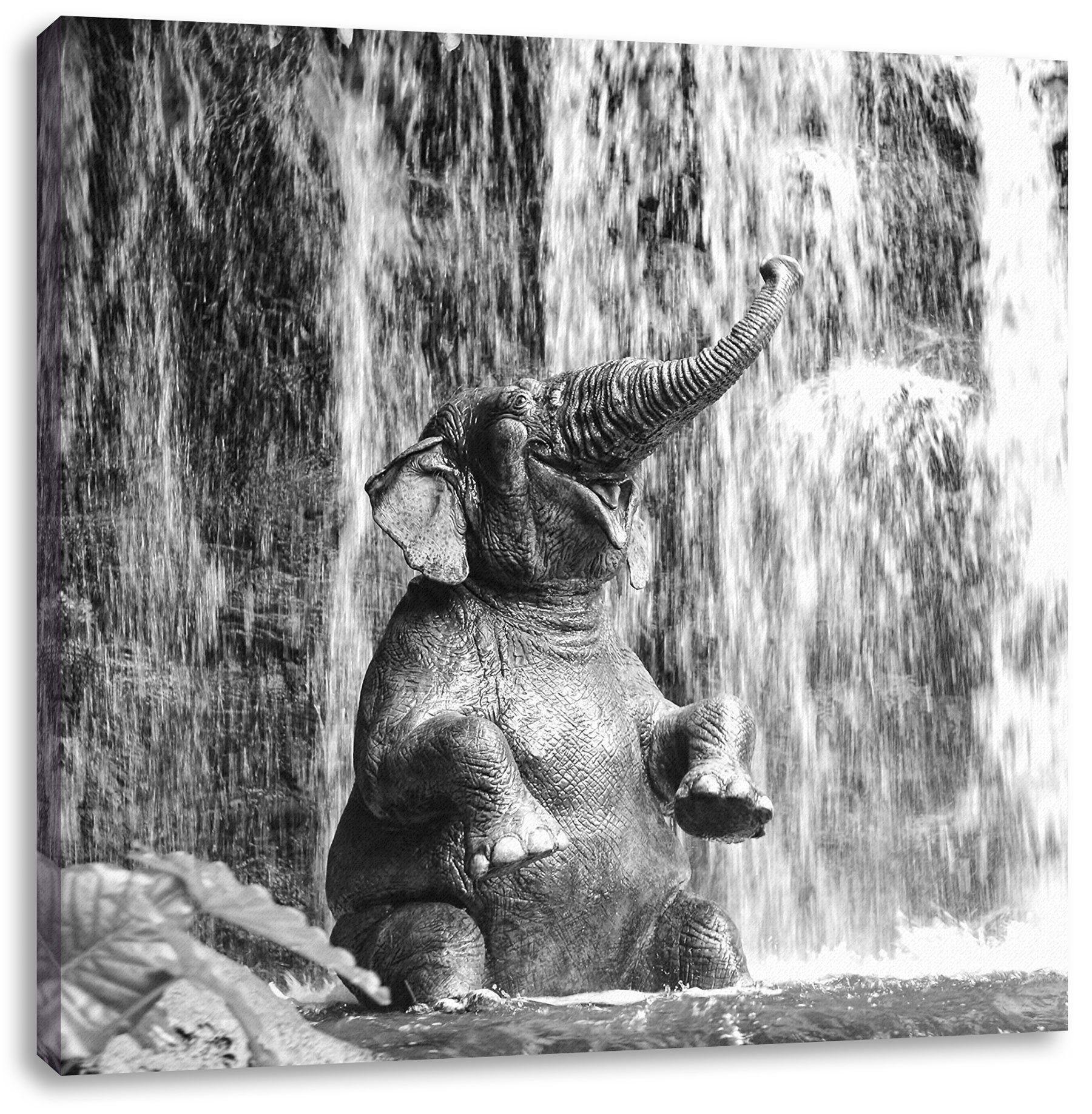 Pixxprint Leinwandbild Babyelefant am Wasserfall, Babyelefant am Wasserfall (1 St), Leinwandbild fertig bespannt, inkl. Zackenaufhänger