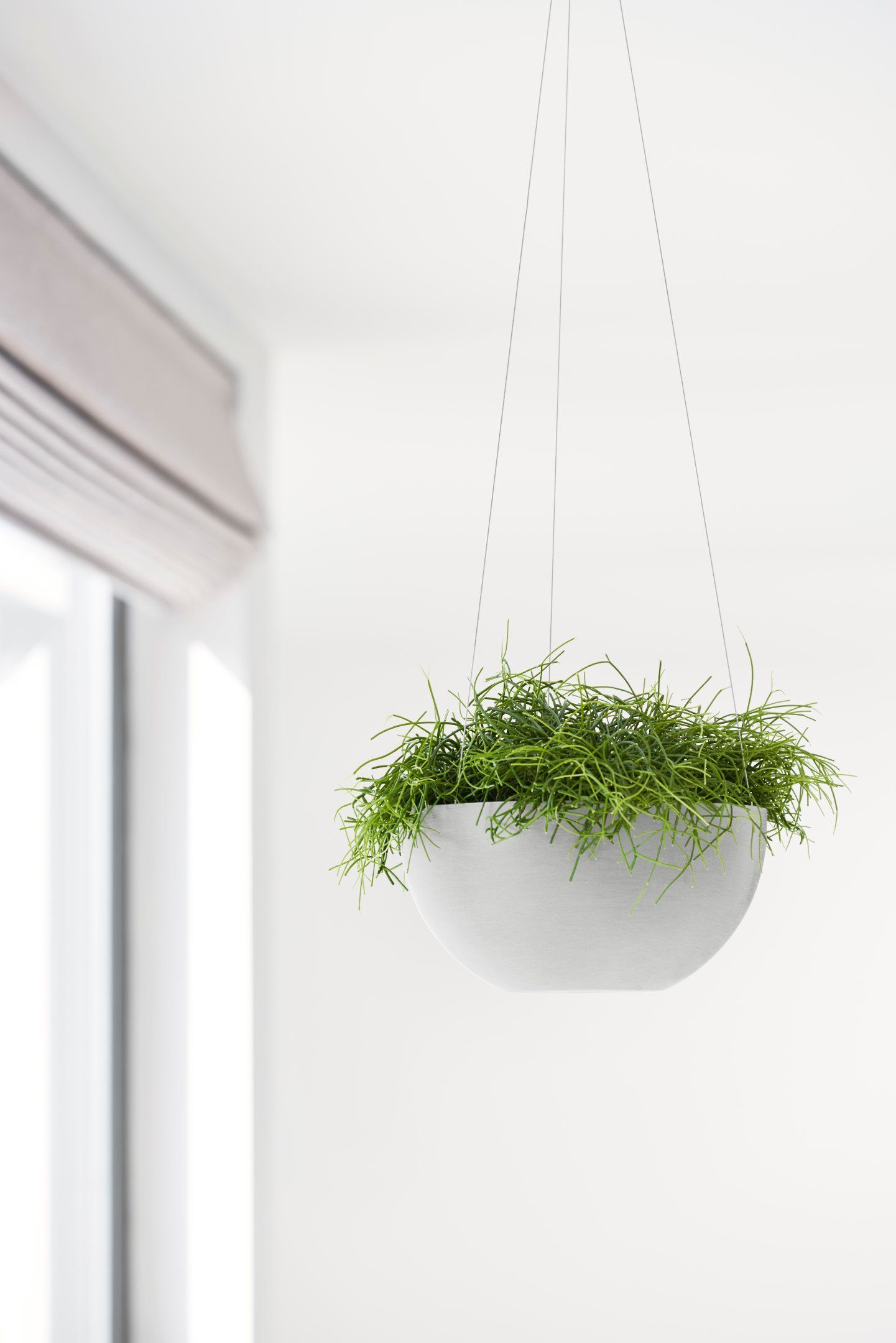 ECOPOTS Blumentopf HANGING BRUSSELS White Grey, 25,5x25,5x13 BxTxH: cm