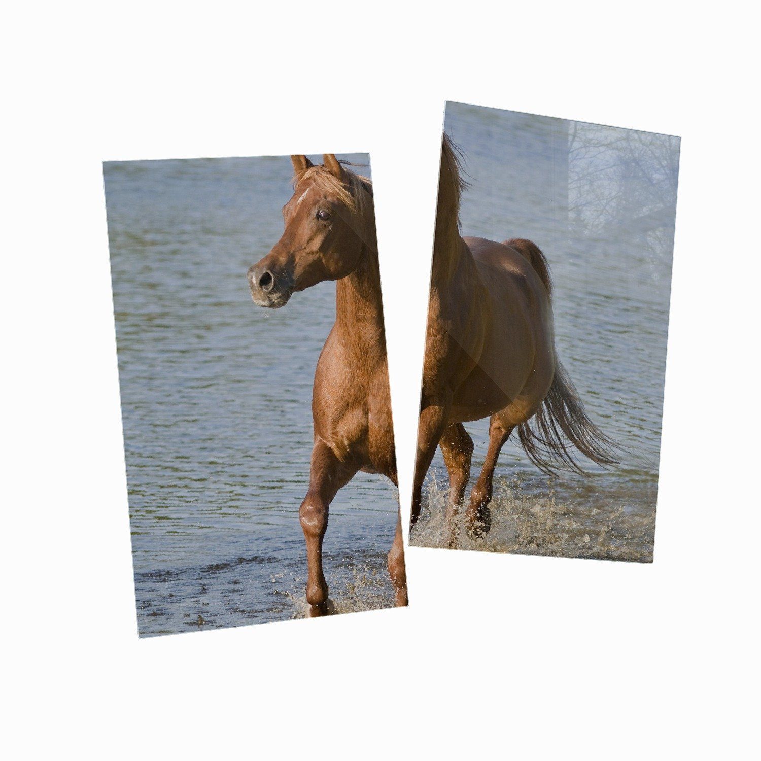 Pferd (Glasplatte, 5mm verschiedene Größen inkl. Braunes Wallario 2 am Wasser, Araber Noppen), Meer tlg., am Herd-Abdeckplatte ESG-Sicherheitsglas,