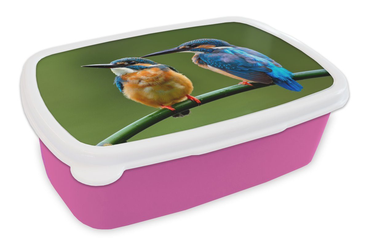 MuchoWow Lunchbox Liebe - Schilf - Eisvogel, Kunststoff, (2-tlg), Brotbox für Erwachsene, Brotdose Kinder, Snackbox, Mädchen, Kunststoff rosa