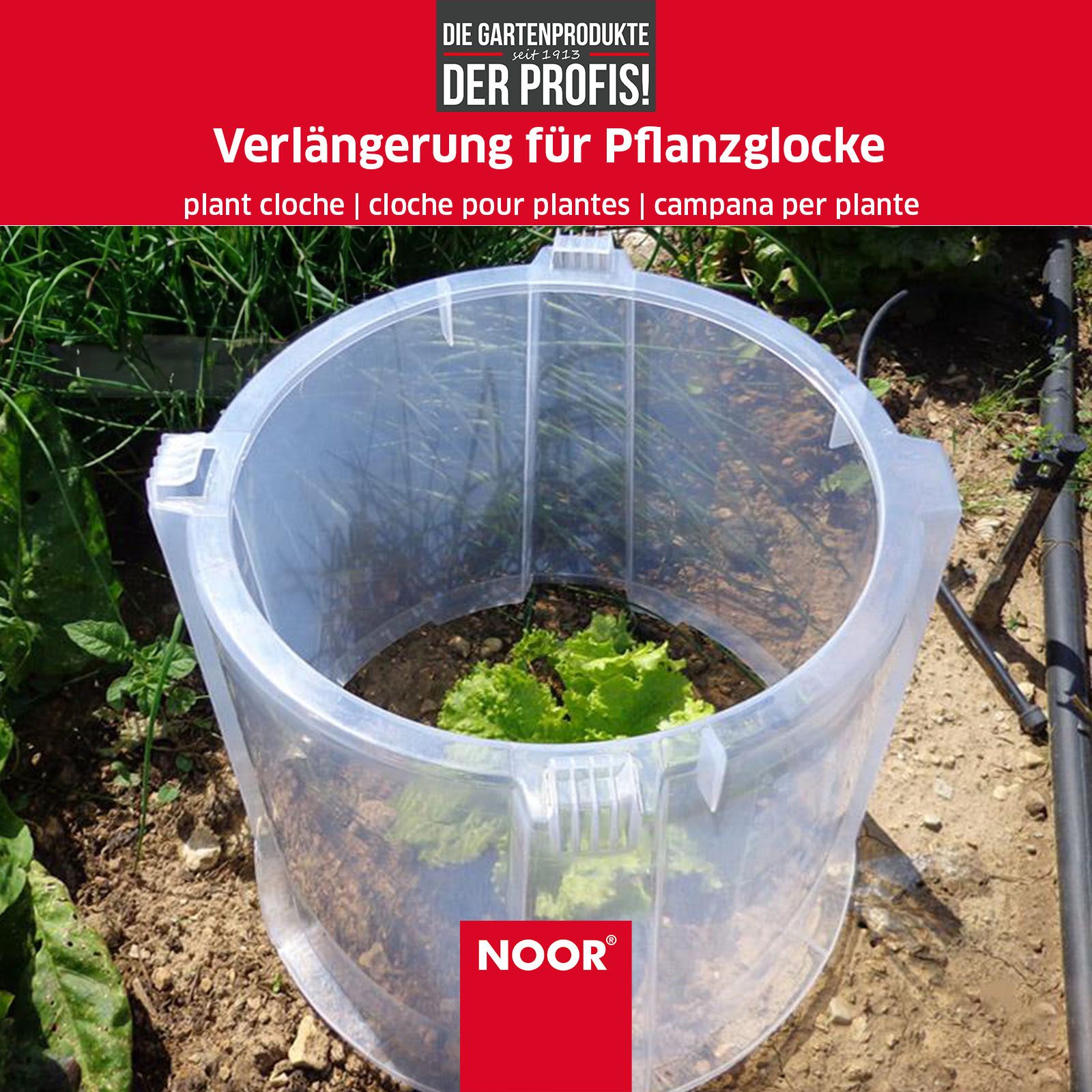 NOOR Frühbeet Pflanzglocke MODUL´O - verlängerbar, mit Lüftungsgitter für ideales Mikroklima für Ihre Pflanzen