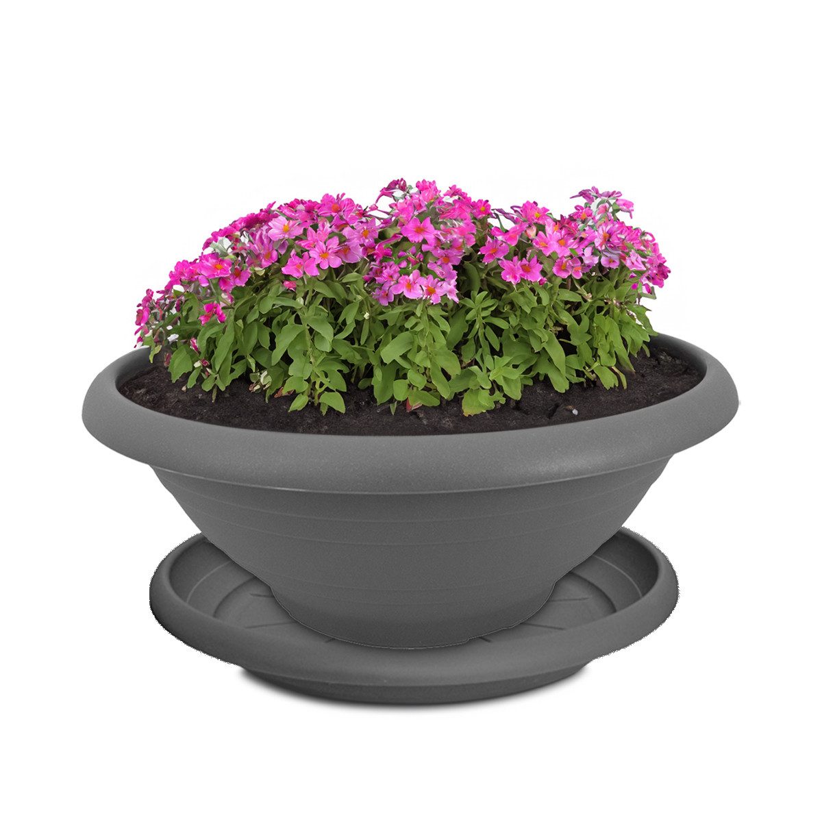 matches21 HOME & HOBBY Blumentopf Pflanzkübel mit Untersetzer für aussen 30 günstig online kaufen