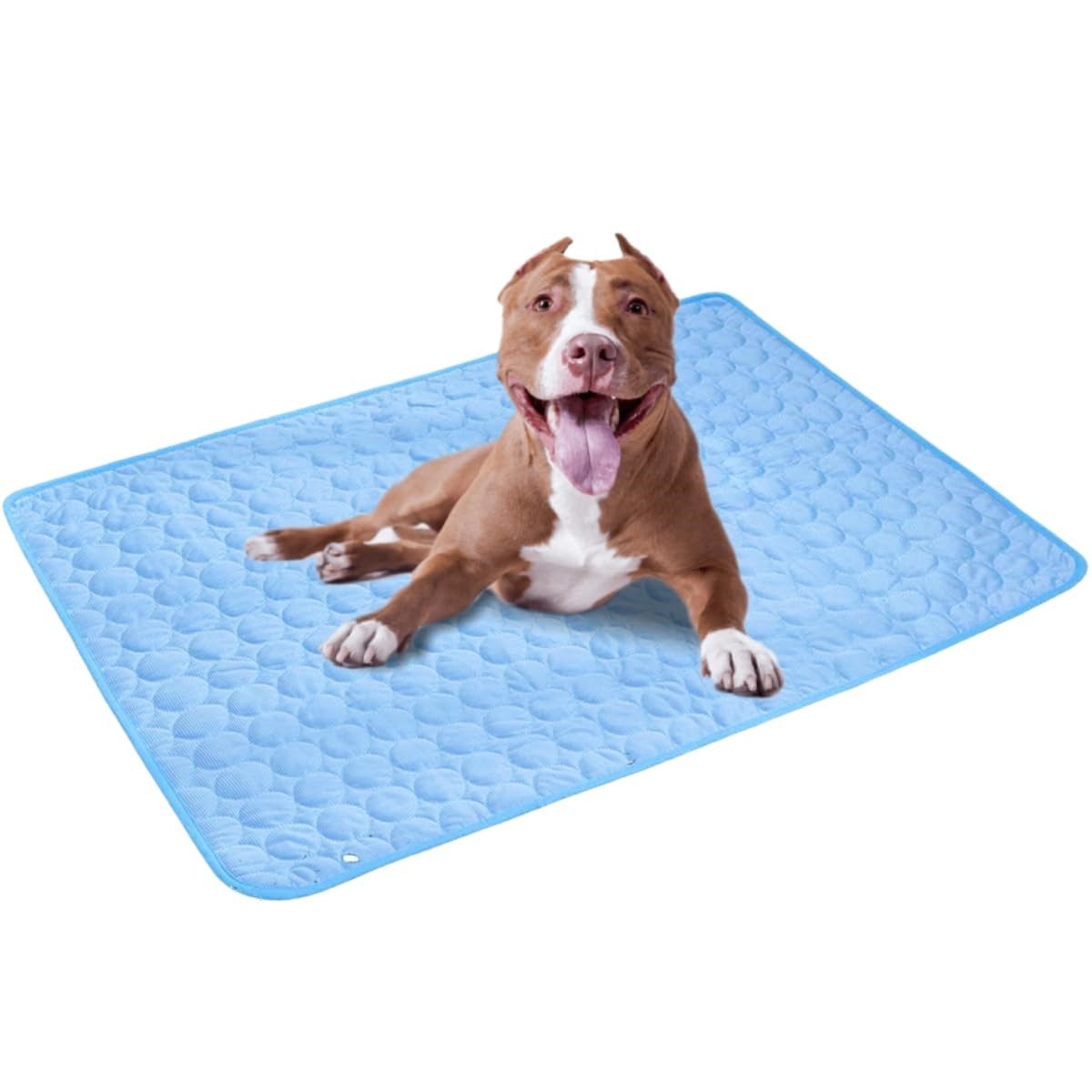 Ledander Hundematte Kühlmatte für Katzen und Hunde, blau, für Drinnen, Draußen und Auto