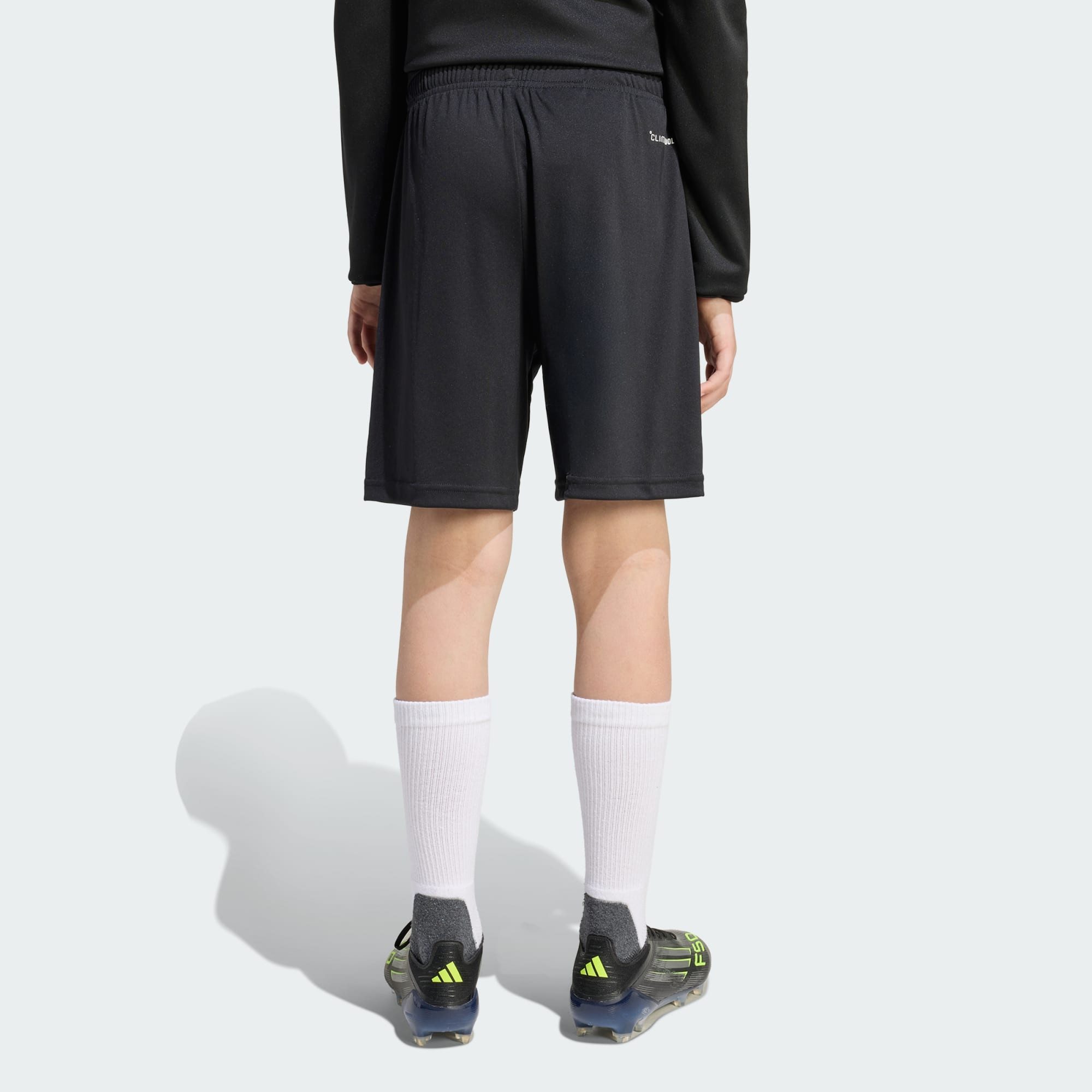 adidas Performance Shorts ENTRADA 26 KIDS TRAININGSSHORTS (1-tlg) – Bild 2 von 5