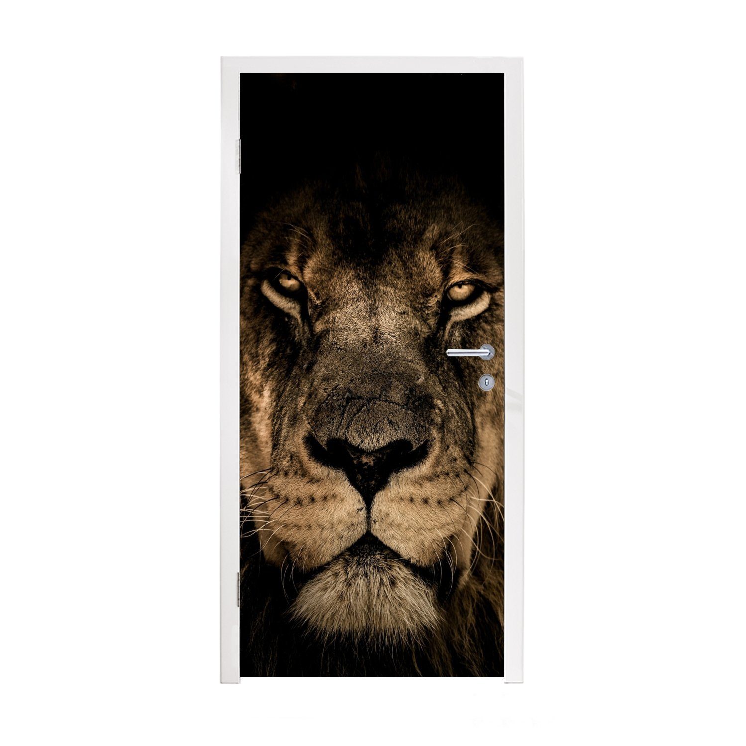 MuchoWow Türtapete Löwe - Tiere - Schwarz - Porträt, Matt, bedruckt, (1 St), Fototapete für Tür, Türaufkleber, 75x205 cm