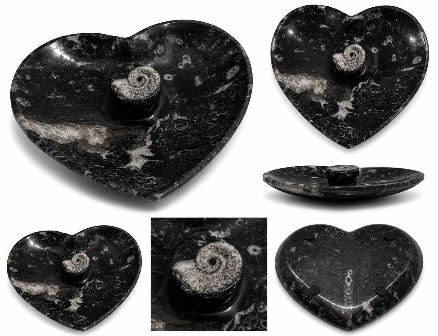 Nesbel - Spüren Sie die Reinheit? Dekoschale (1 St), Orthoceras Edelsteinschale versteinerte Tintenfischarme 15x11,5x2 cm