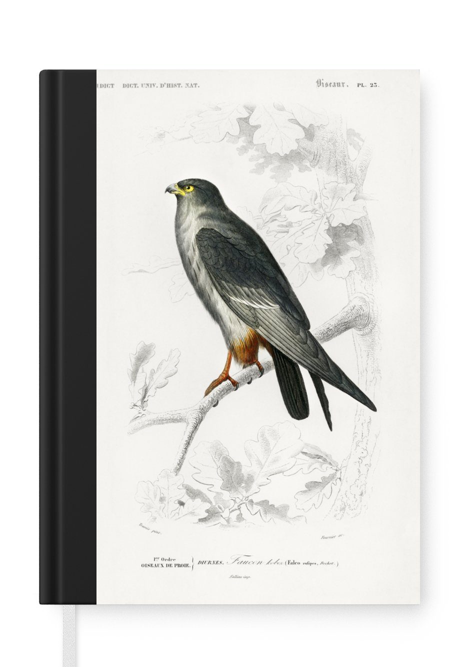 MuchoWow Notizbuch Vogel - Jahrgang - Falke, Journal, Merkzettel, Tagebuch, Notizheft, A5, 98 Seiten, Haushaltsbuch