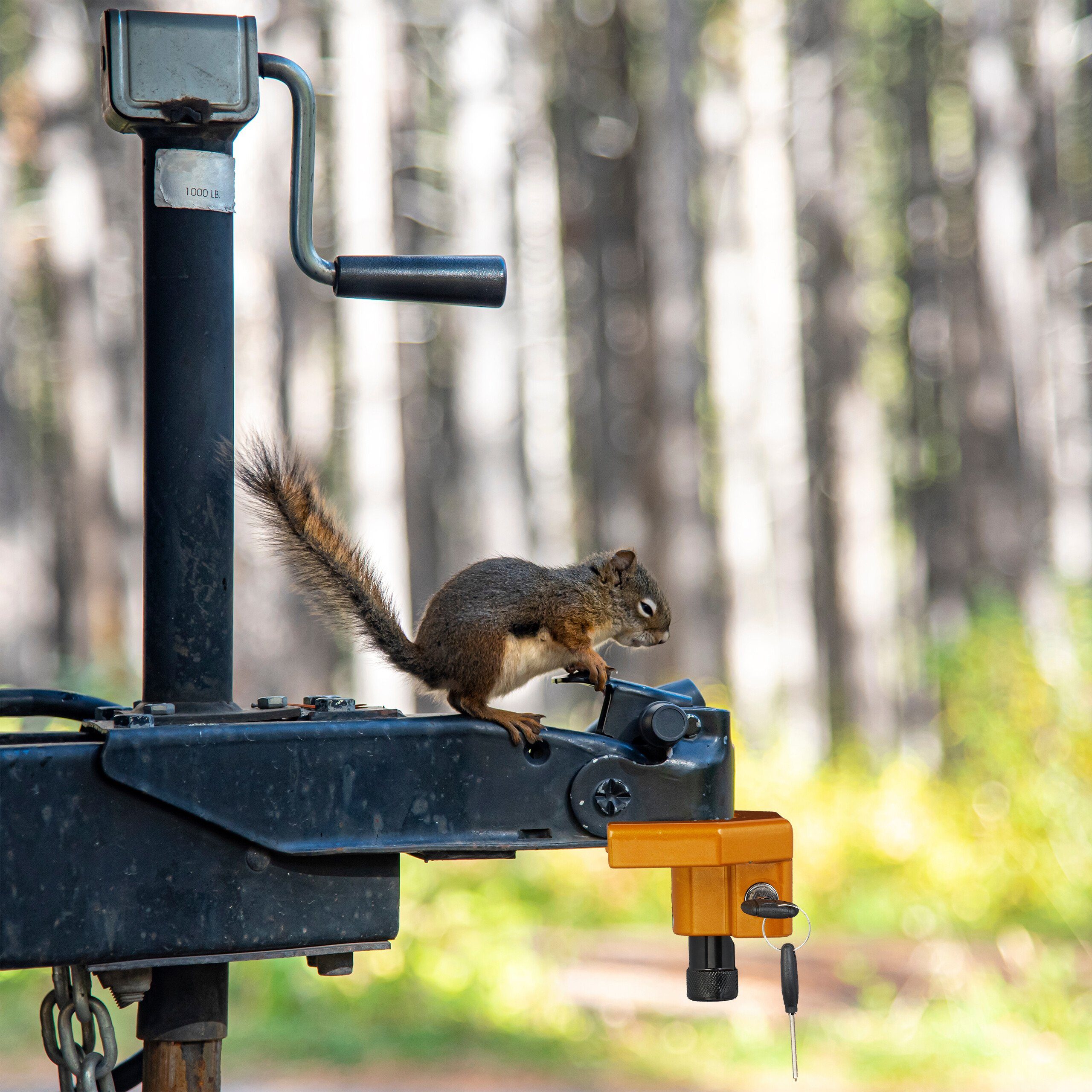 relaxdays Anhängerschloss für PKW