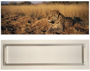 Victor (Zenith) Acrylglasbild Acrylglasbild \"Leopard\" - Größe: 20 x 60 cm, Tiere, in 20x60 cm, Glasbilder Tiere, Acrylglasbilder Wohnzimmer