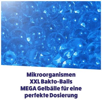 AQUASAN Teichfilter Gartenteich Mikroorganismen XXL Bakto-Balls PLUS (lebensnotwendigen Mikroorganismen, 1 St., Spar Set), 1 Liter sind ausreichend für bis zu 20.000 Liter
