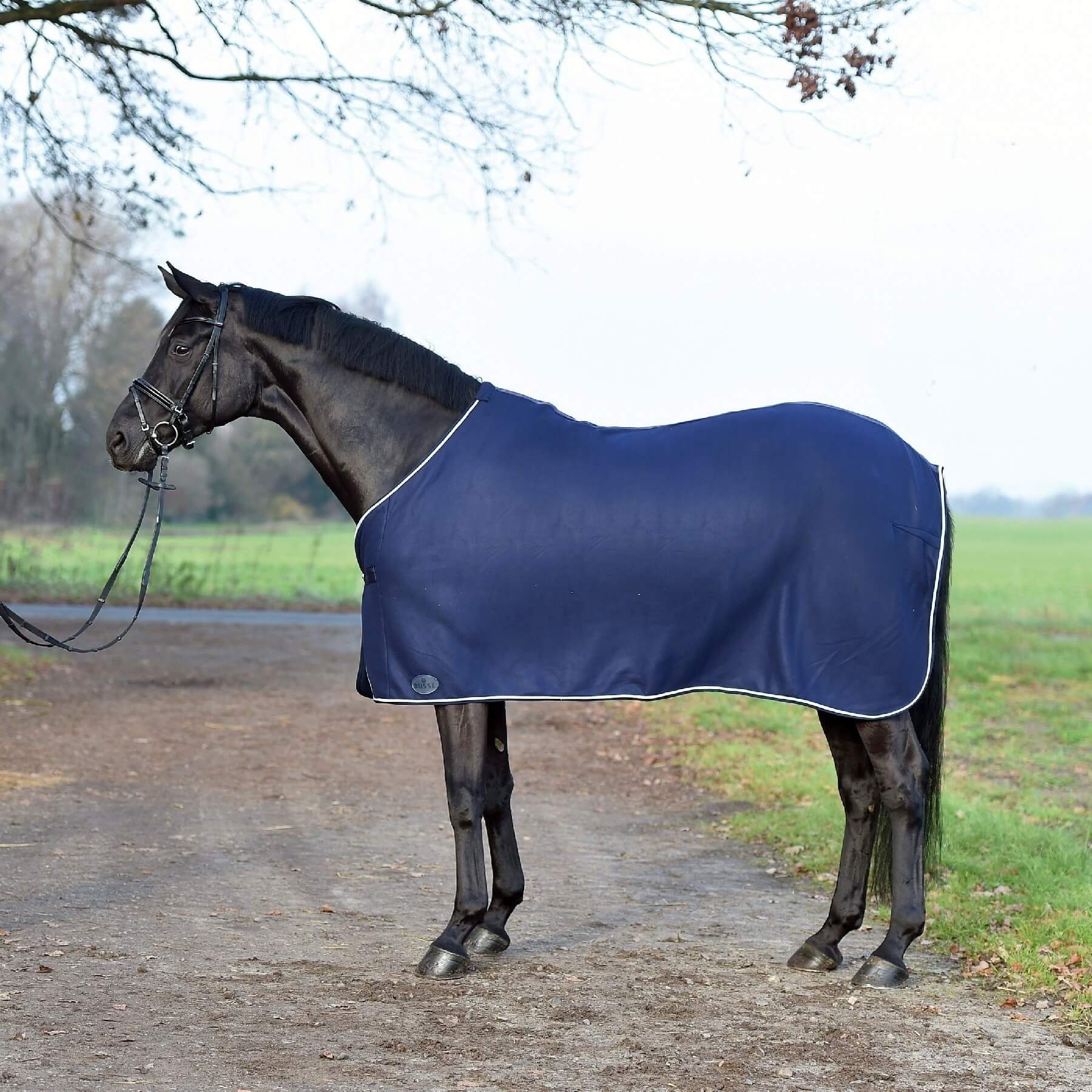 BUSSE Pferde-Abschwitzdecke BUSSE Abschwitzdecke SHOW