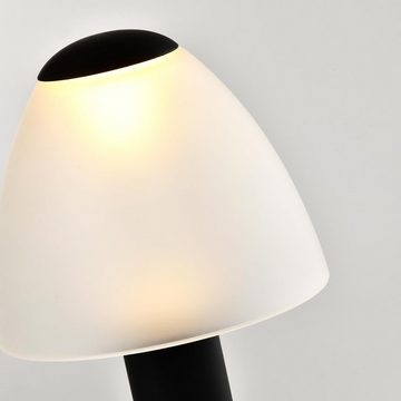 LQWELL Schreibtischlampe Touch Tischleuchte Kabellos Nachttischlampe, LED fest integriert, warmweiß, Naturweiß, Kaltweiß, Typ C USB Wiederaufladbar für Drinnen Restaurant Wohnzimmer