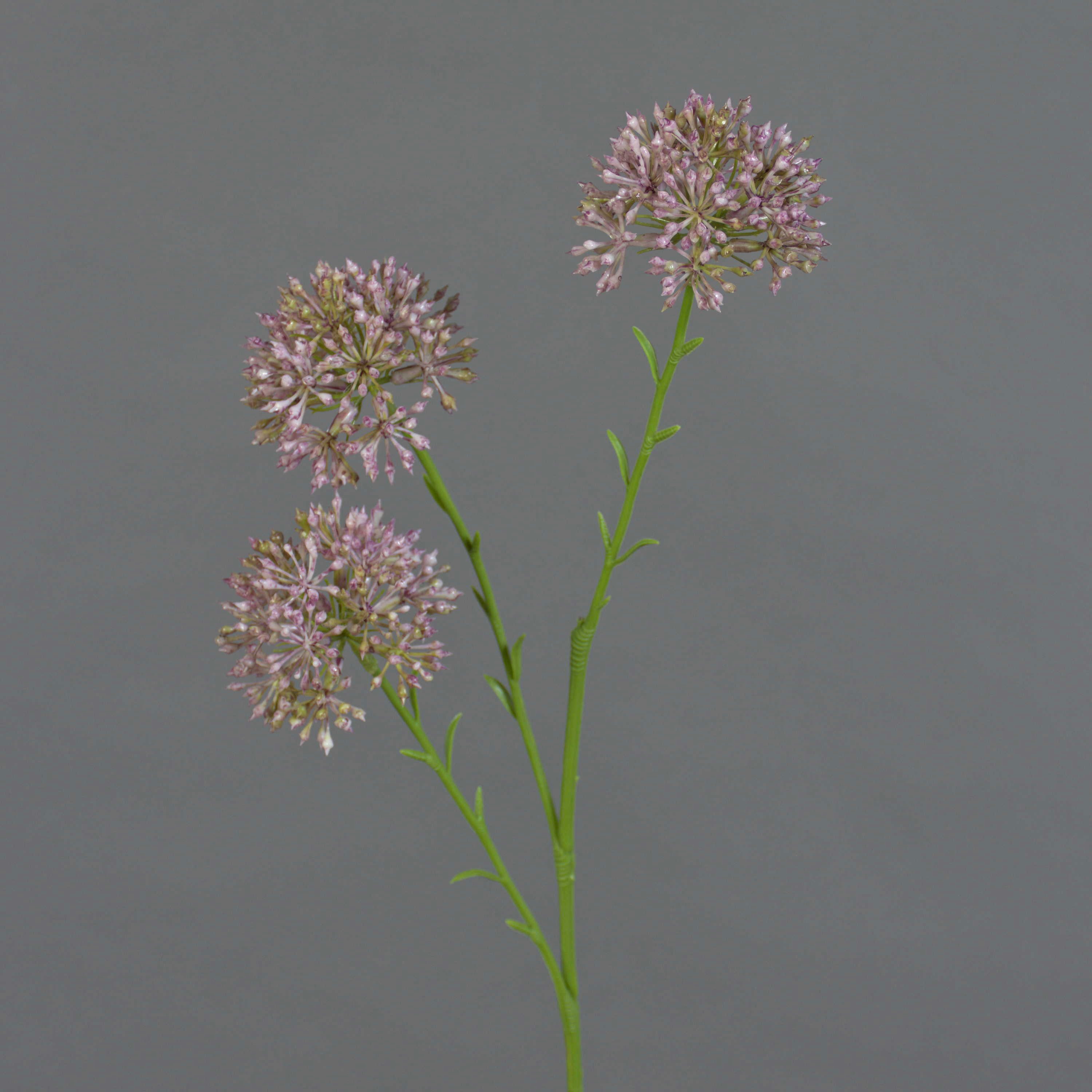 Kunstzweig Allium ALIKIO, lila, 65cm, Ø6,5cm Allium, artplants, Höhe 65.0 cm