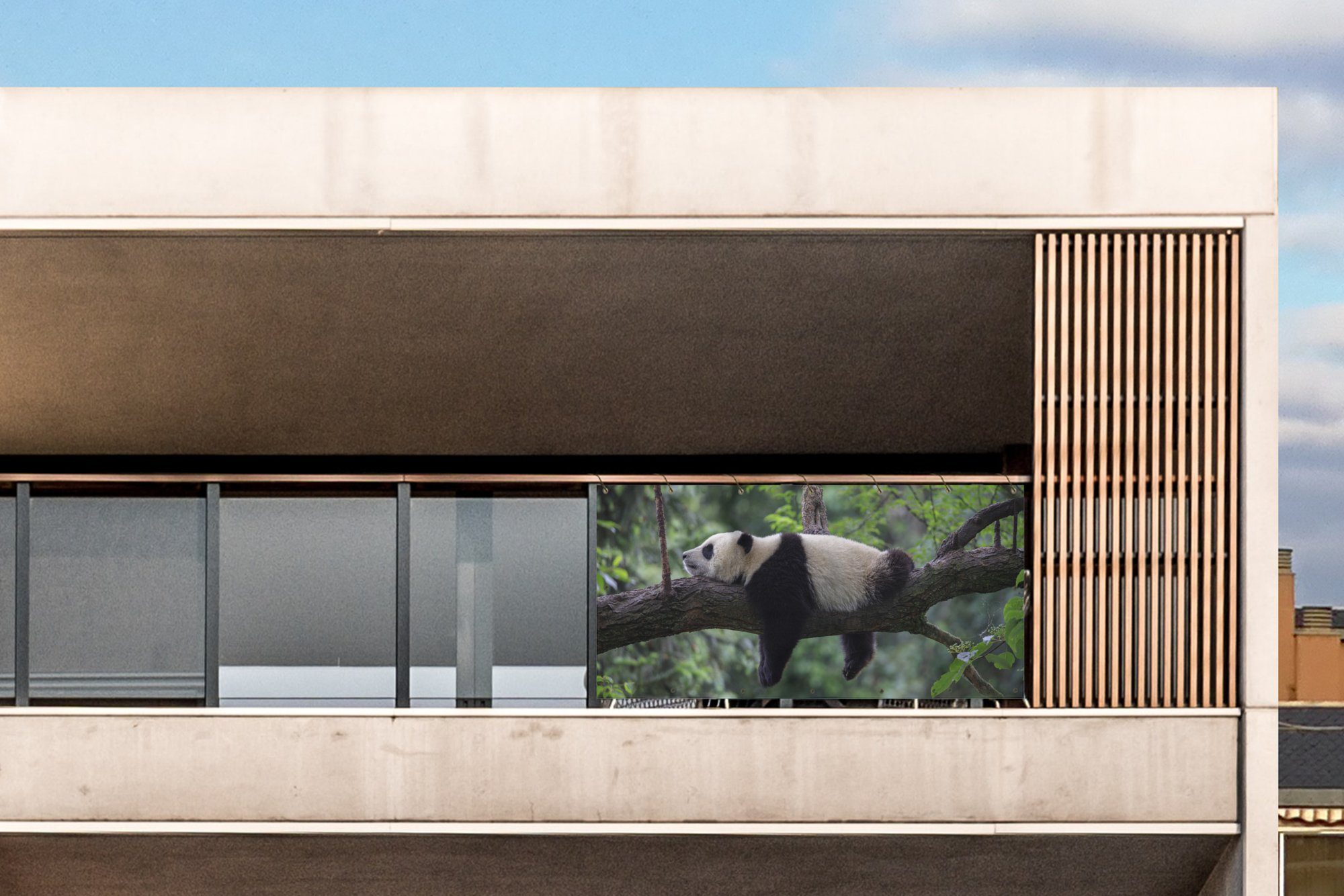 Thumbnail - MuchoWow Balkonsichtschutz Panda - Baum - Tiere - Natur (1-St) Balkon Sichtschutz 90x200, Windschutz für Zaun PVC, 200x9...