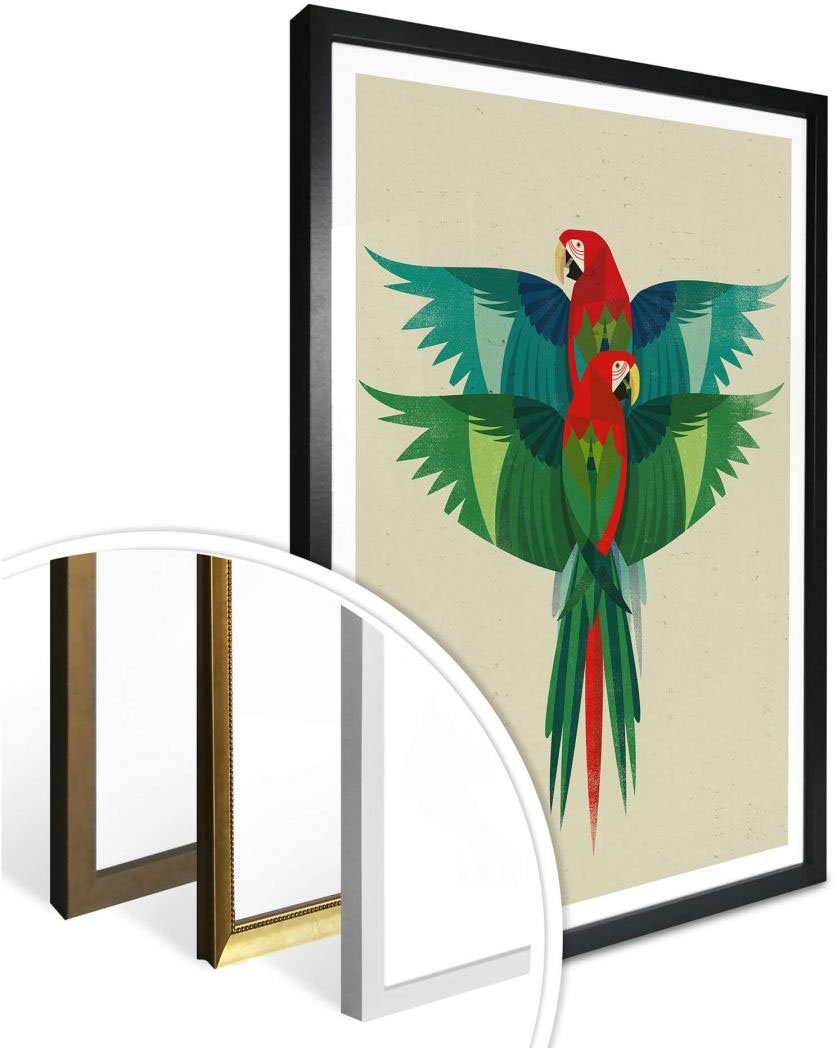 (1 Poster, Ara, Bild, Poster Wandbild, St), Wall-Art Papageien Wandposter