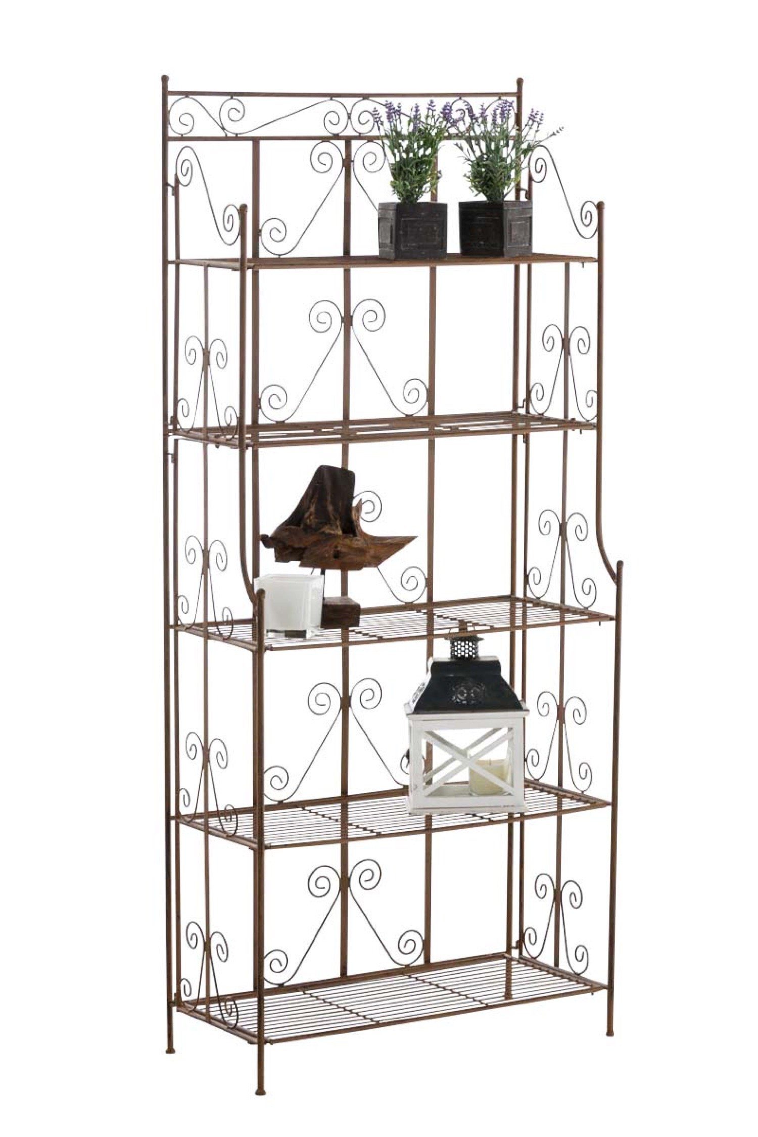 TPFGarden Standregal Cio - Blumenständer - 5-stöckiges Pflanzenregal, Blumenregal - Pflanzengestell, Pflanzenständer mit den Maßen (HxB xT): 173 x 74,5 x 34,5 cm