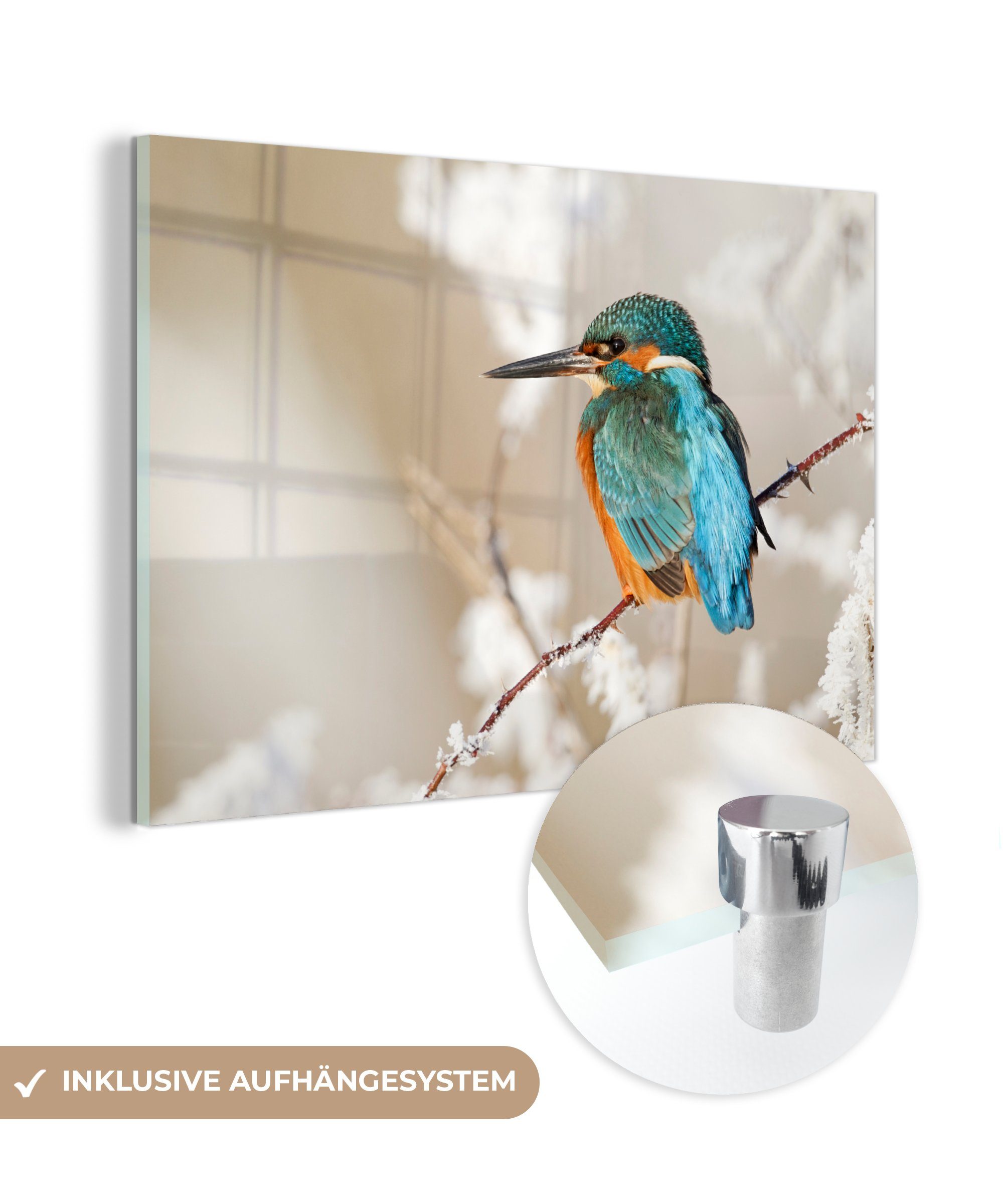 MuchoWow Acrylglasbild Schnee St), (1 Acrylglasbilder Äste, - Wohnzimmer Eisvogel & - Schlafzimmer