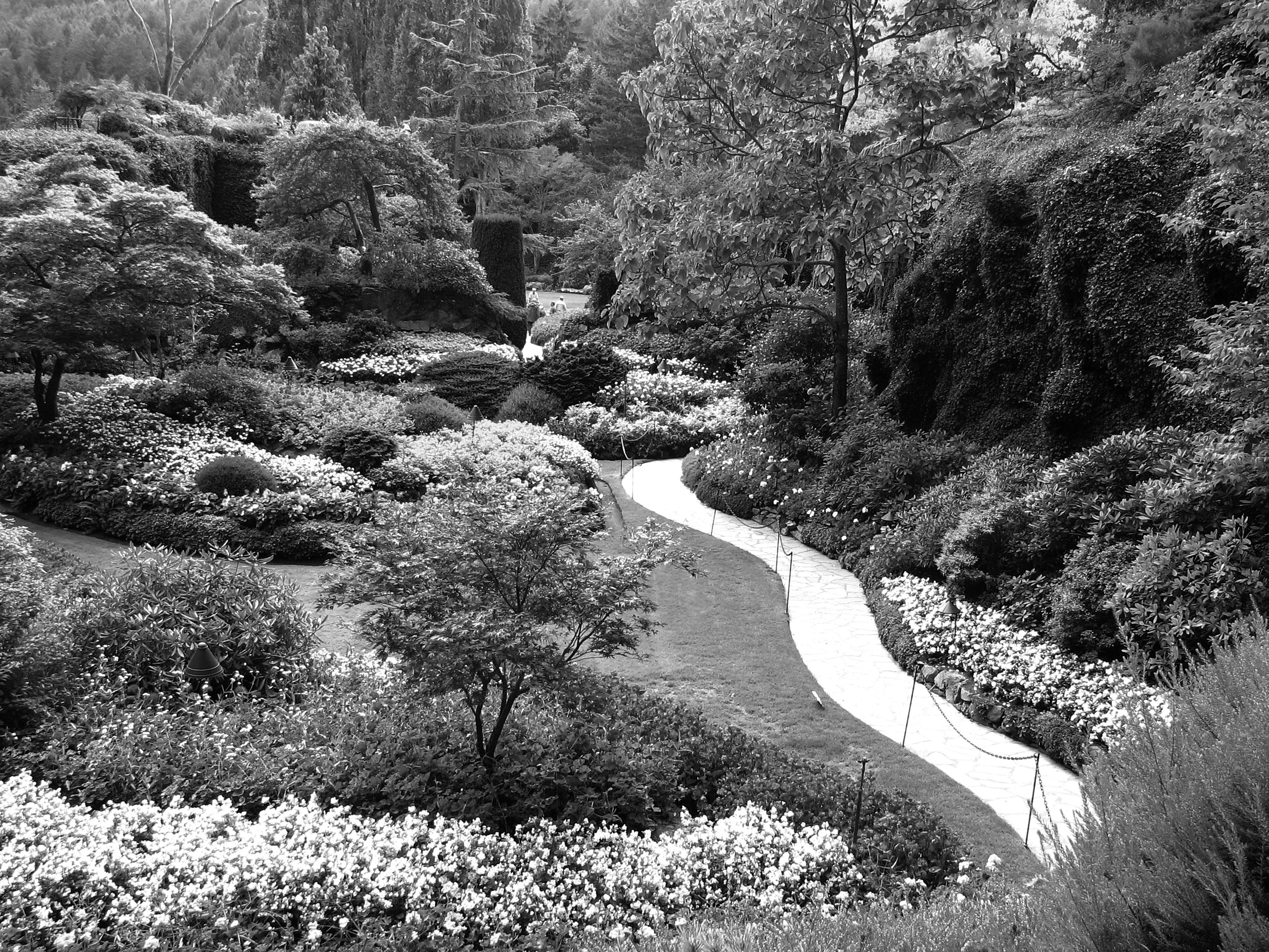 Schwarz & Fototapete Weiß Papermoon Garten