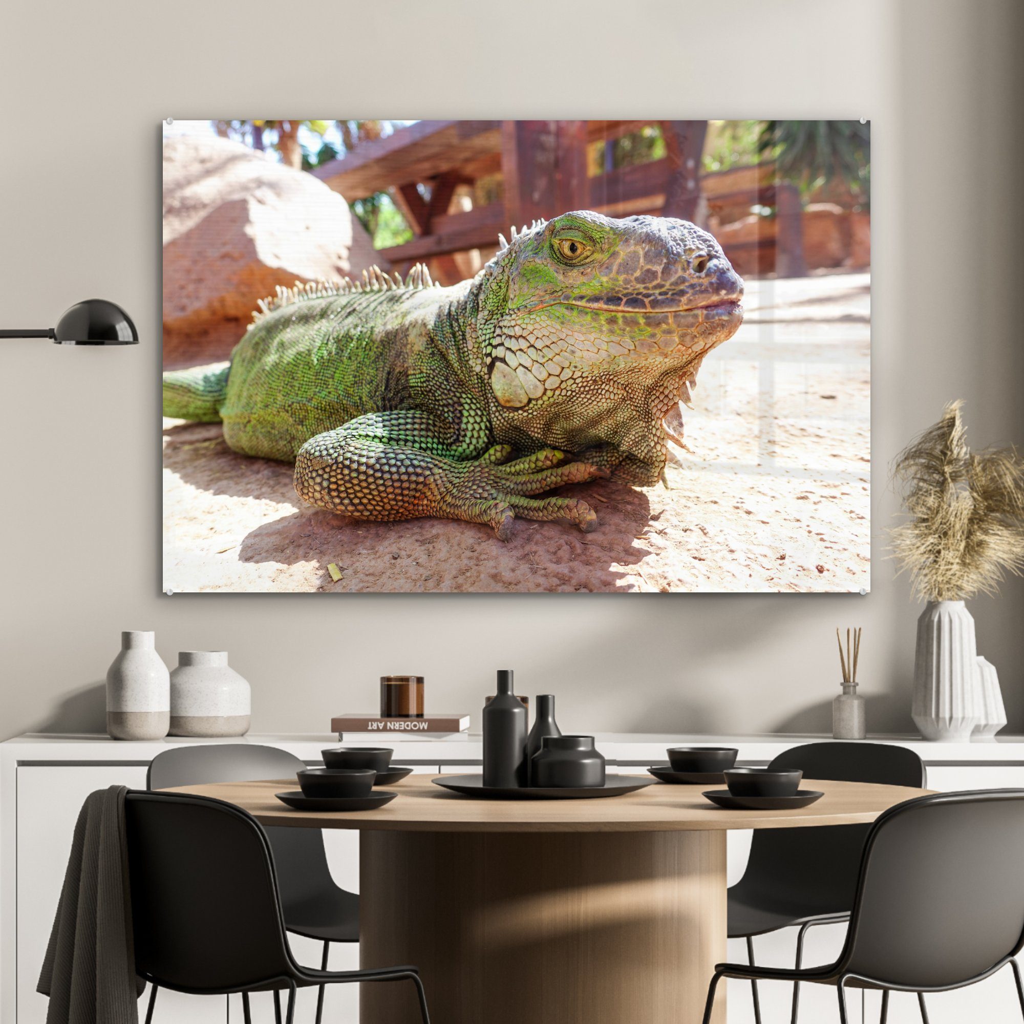 großer & er Leguan grüner schaut Wohnzimmer in Acrylglasbild Schlafzimmer Acrylglasbilder Kamera, auf, die Ein während (1 St), MuchoWow sich