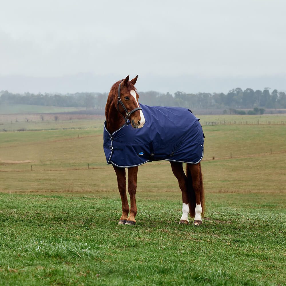 WeatherBeeta Pferde-Regendecke Weatherbeeta Comfitec Tyro Turnout Standard Neck 50g