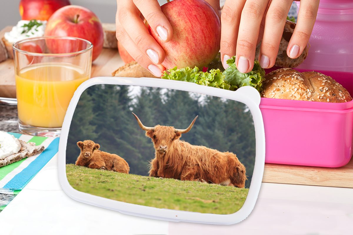 Erwachsene, Kalb Lunchbox Schottische Kinder, (2-tlg), - Highlander Mädchen, Brotbox - Kuh, Brotdose rosa Kunststoff, für Kunststoff Snackbox, MuchoWow Schottische