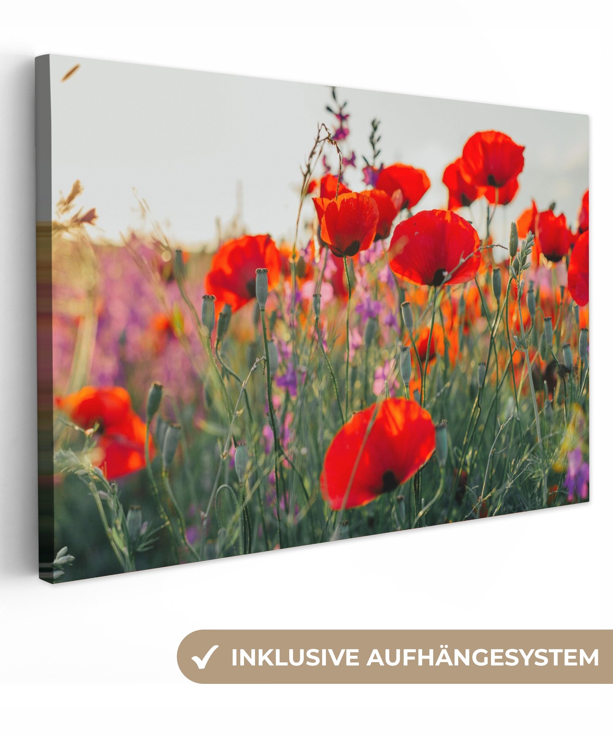 OneMillionCanvasses® Leinwandbild Mohn - Blumen - Rot - Lila - Wiese, Fotod günstig online kaufen