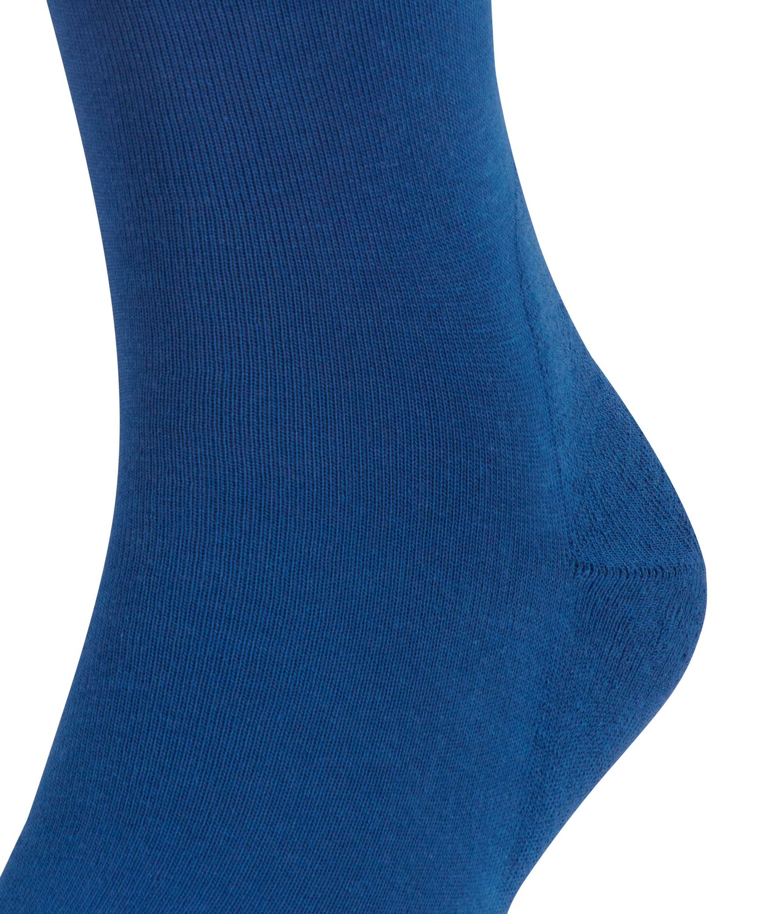 sapphire Socken FALKE (1-Paar) Run (6055)