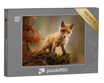 puzzleYOU Puzzle Ein junger Fuchs, 48 Puzzleteile, puzzleYOU-Kollektionen Tiere, Füchse, 48 Teile, 500 Teile, Schwierig