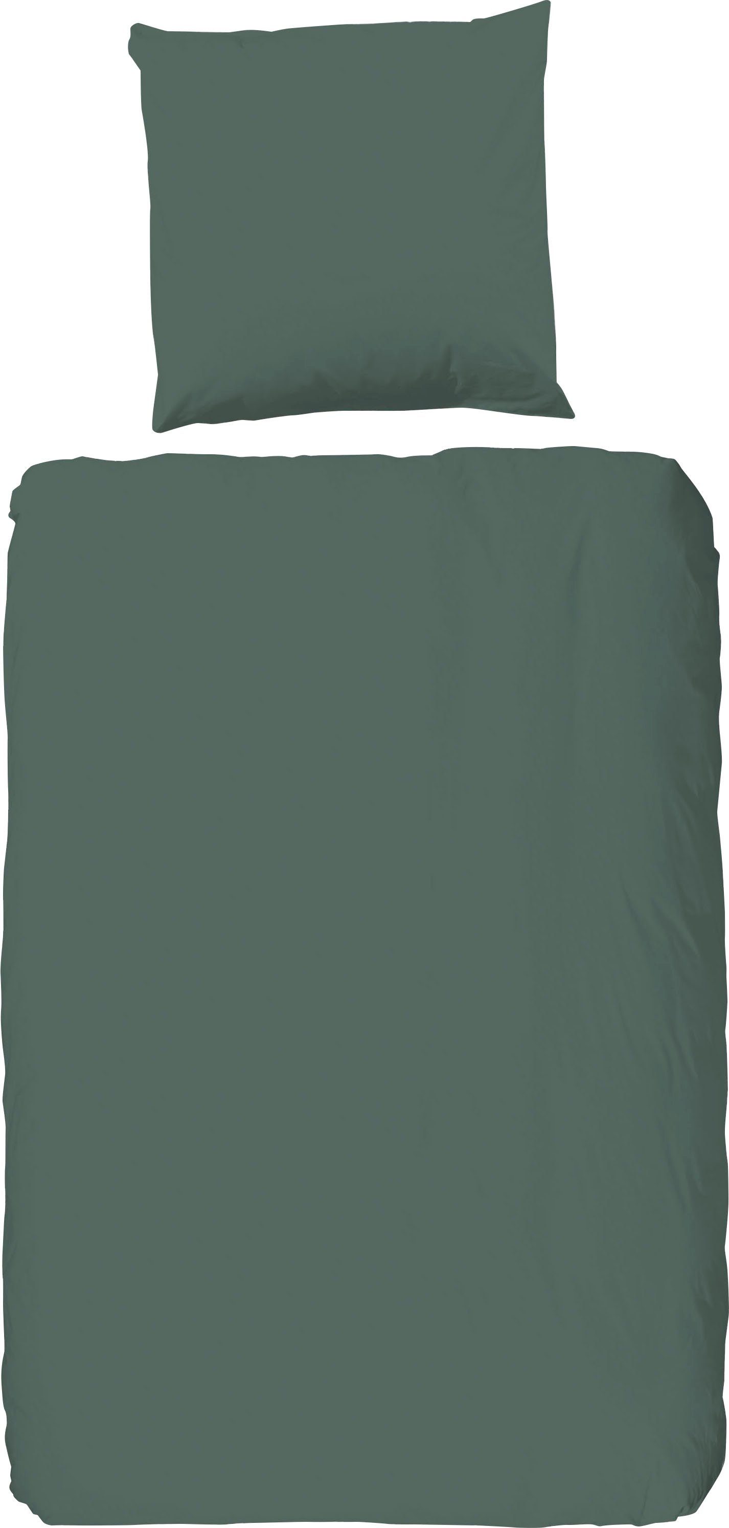 oliv/olivgrün/grün