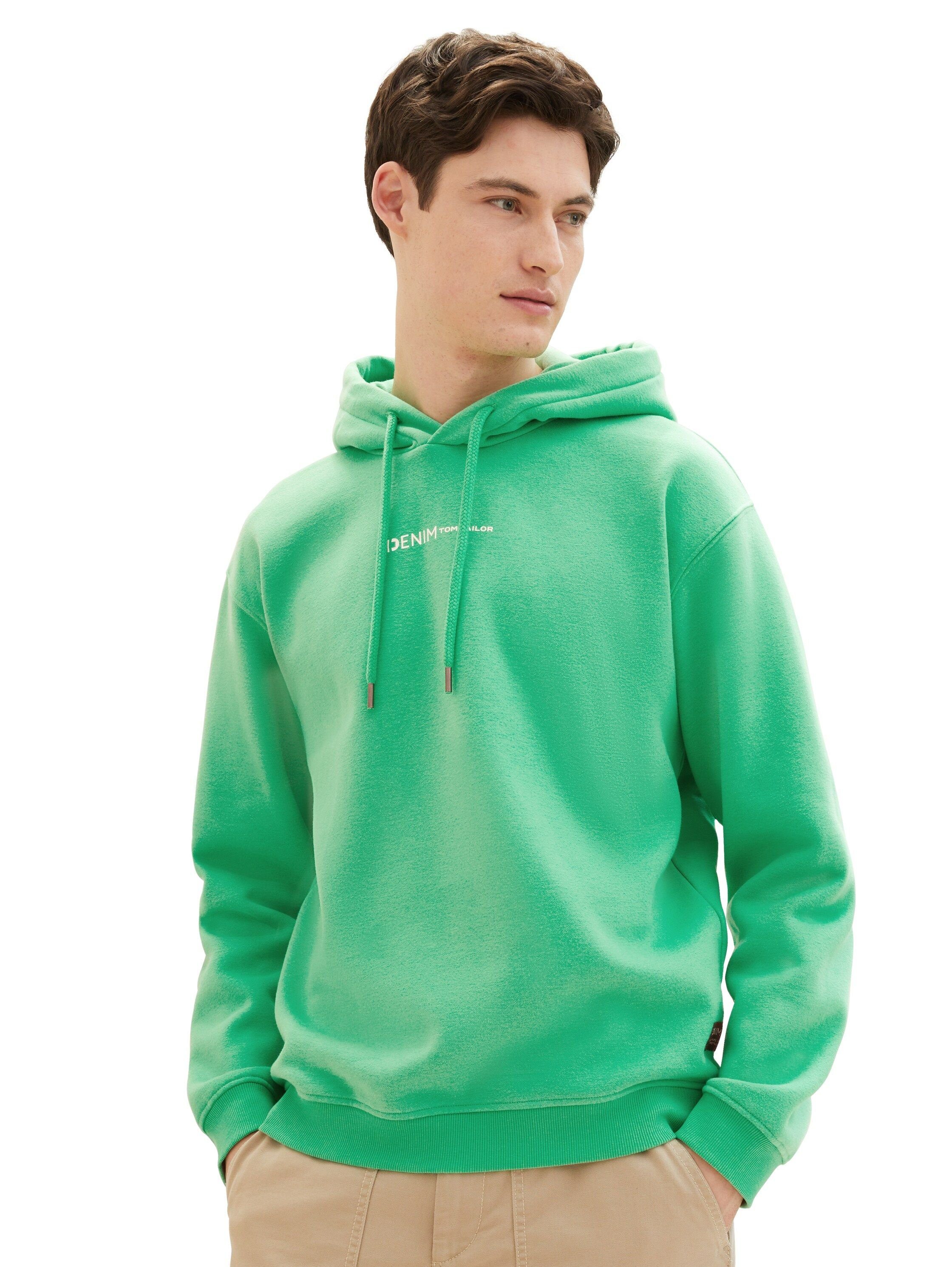flash green TAILOR TOM classic Sweater