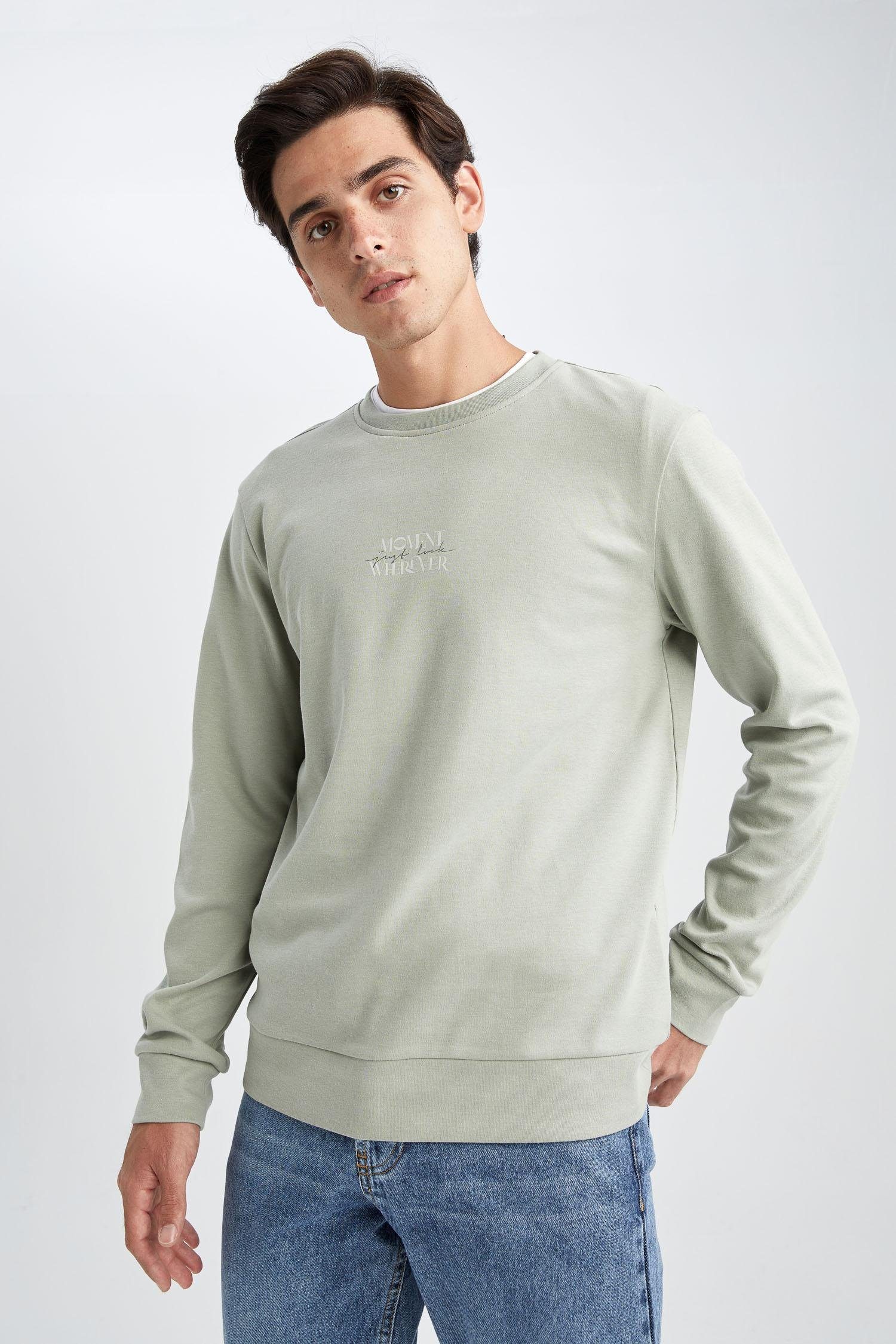 DeFacto Sweatshirt Herren Sweatshirt MODERN FIT Mint | Sweatshirts