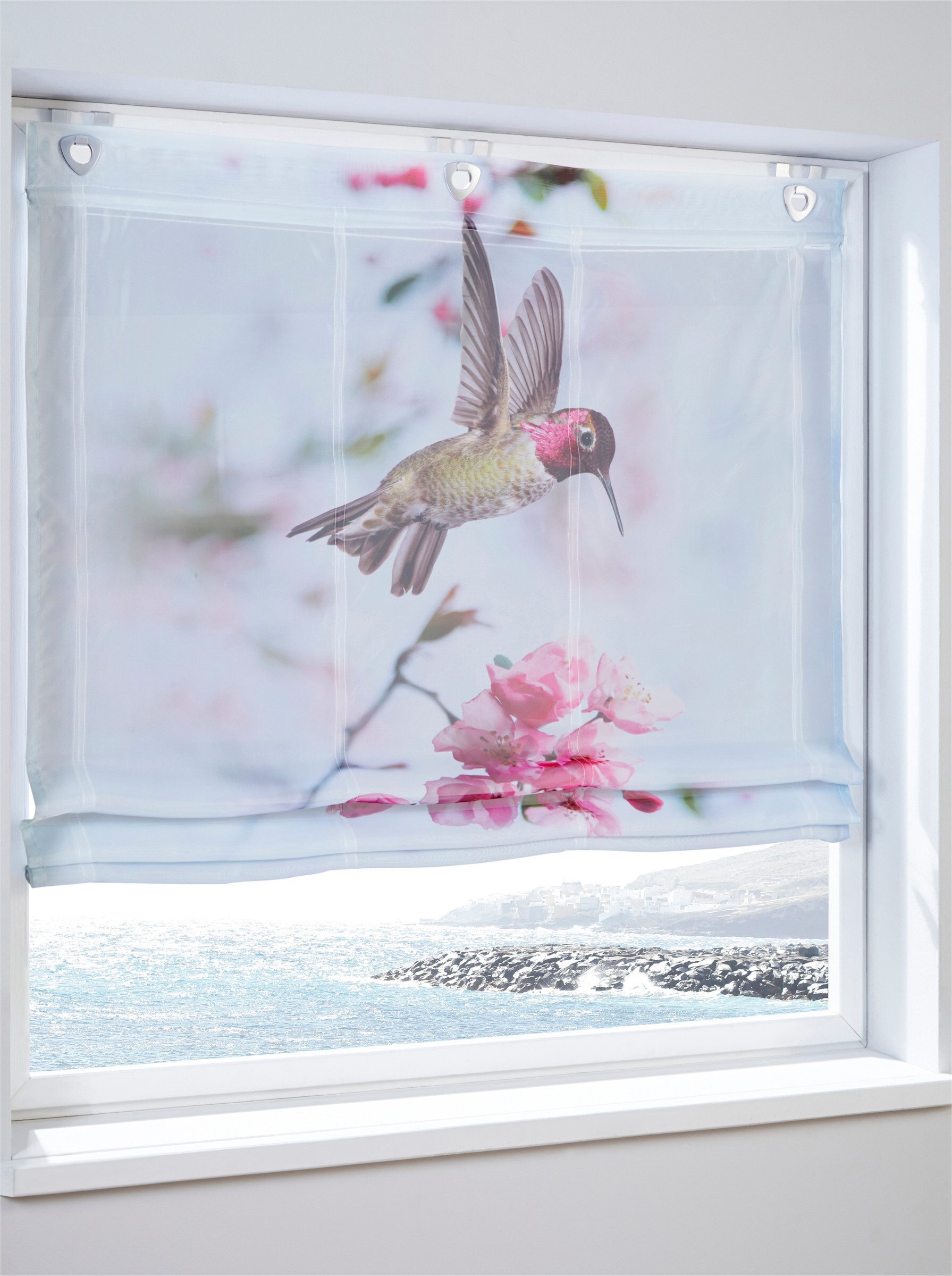 Rollo Raffrollo ., heine, transparent, Ösen mit Fensterhaken günstig online kaufen